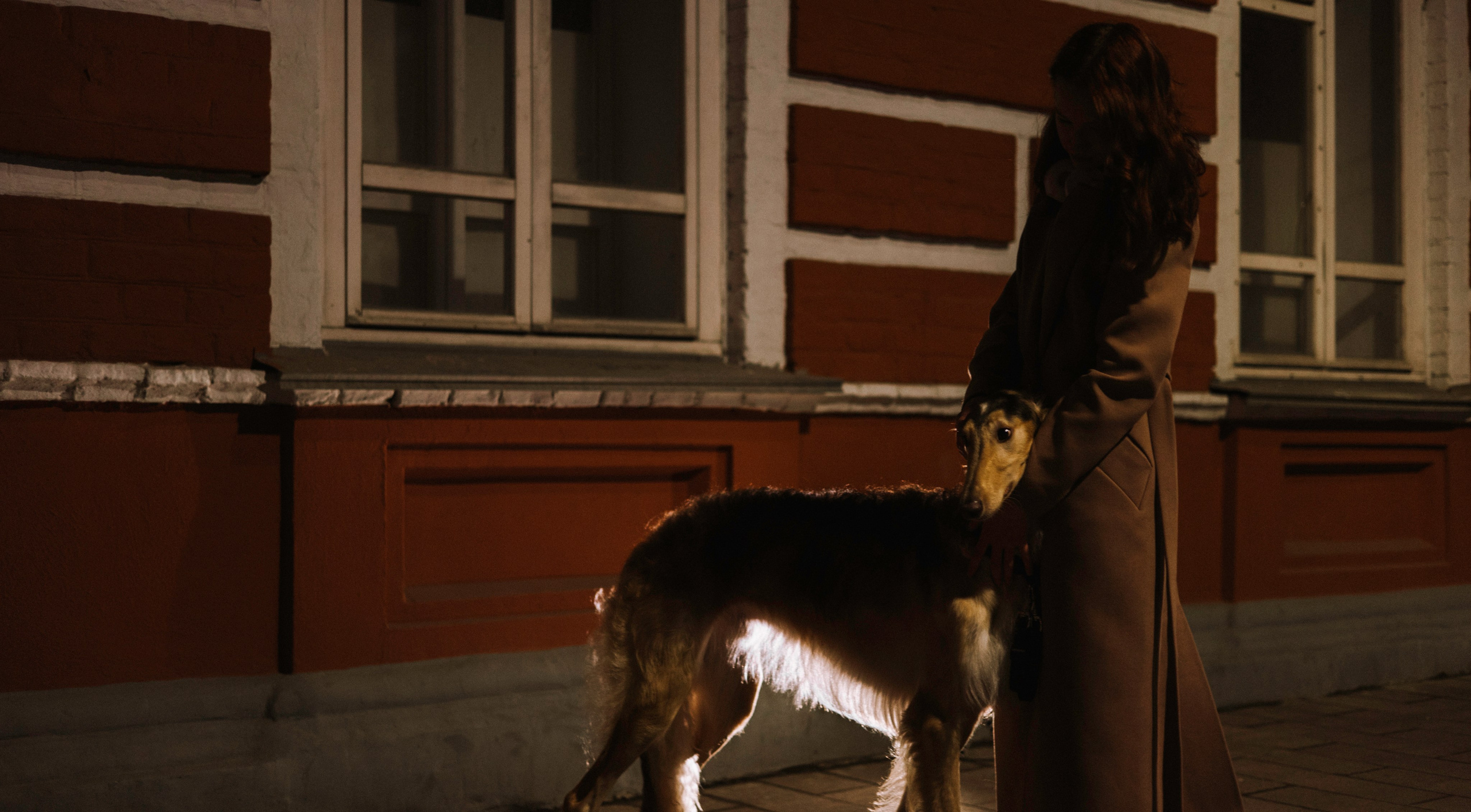 Алёна и Леви. Фотограф-анималист Богданова Полина