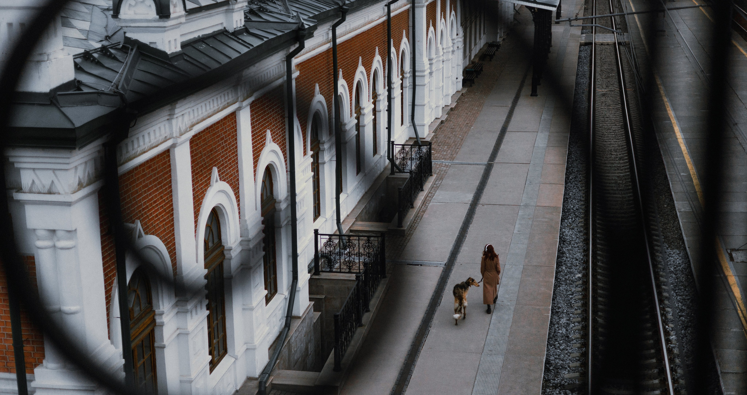 Алёна и Леви. Фотограф-анималист Богданова Полина