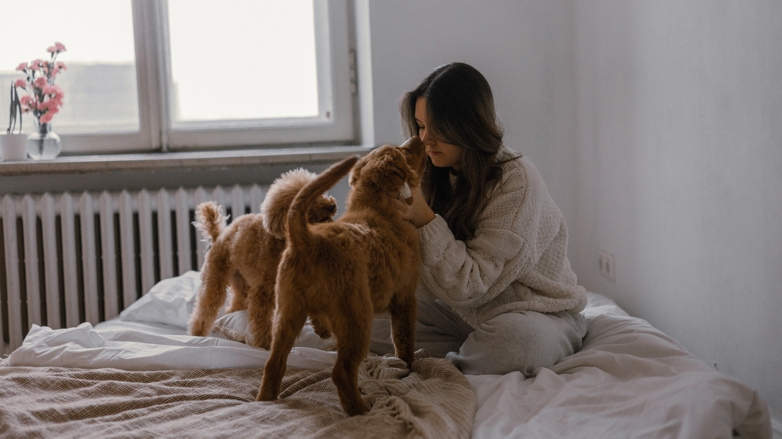 Маша, Одди и Нэвил. Фотограф-анималист Богданова Полина