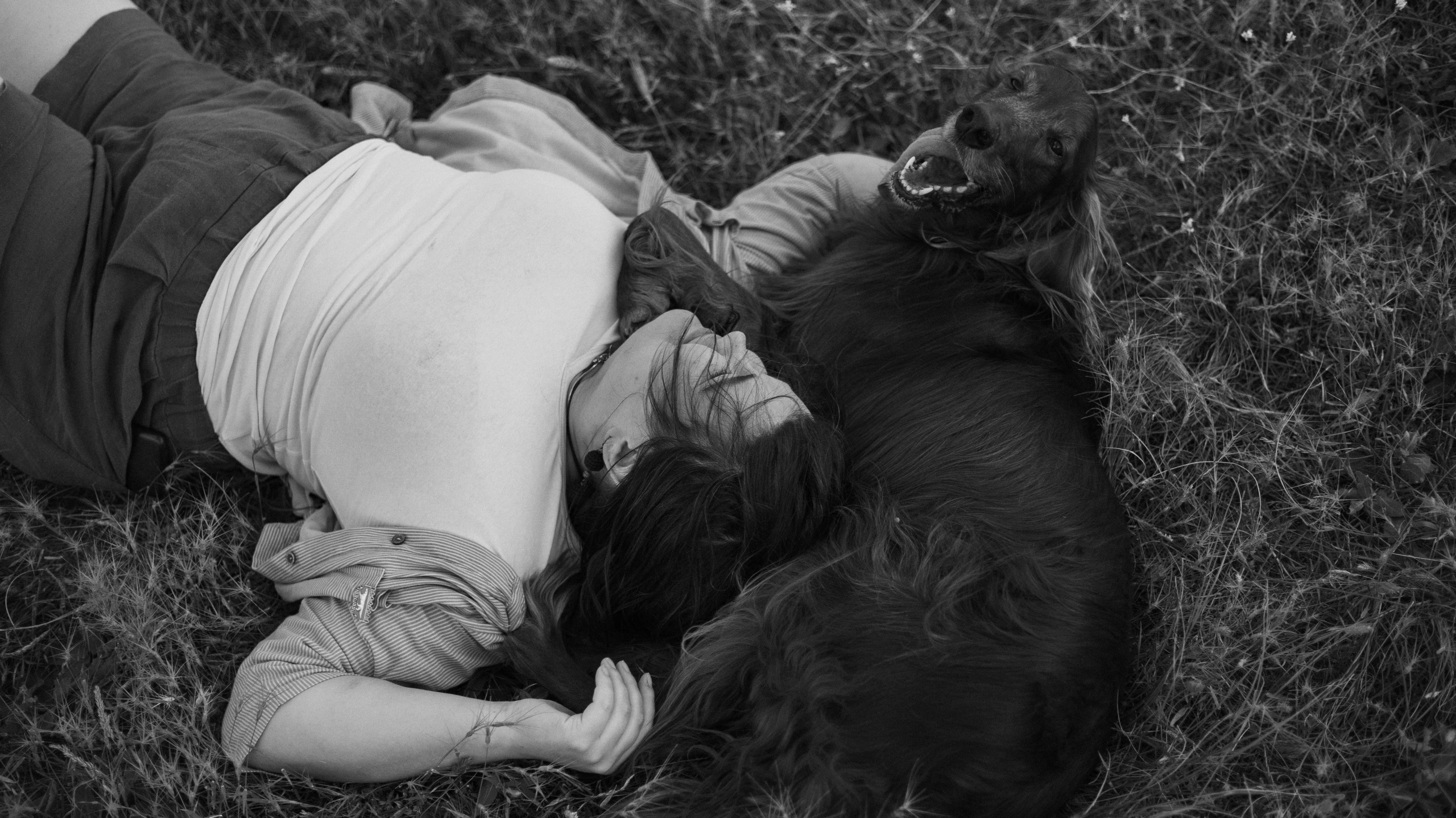 Ольга и Шеймас. Фотограф-анималист Богданова Полина