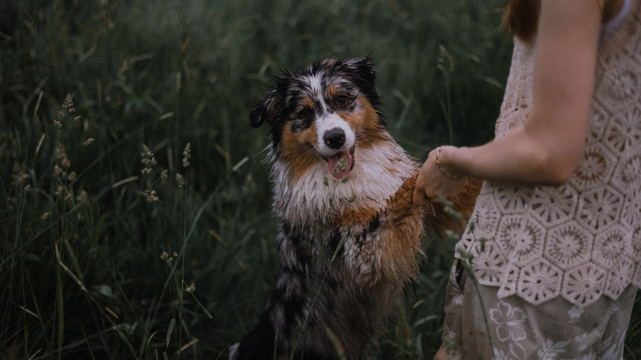 Маша и Долли. Фотограф-анималист Богданова Полина