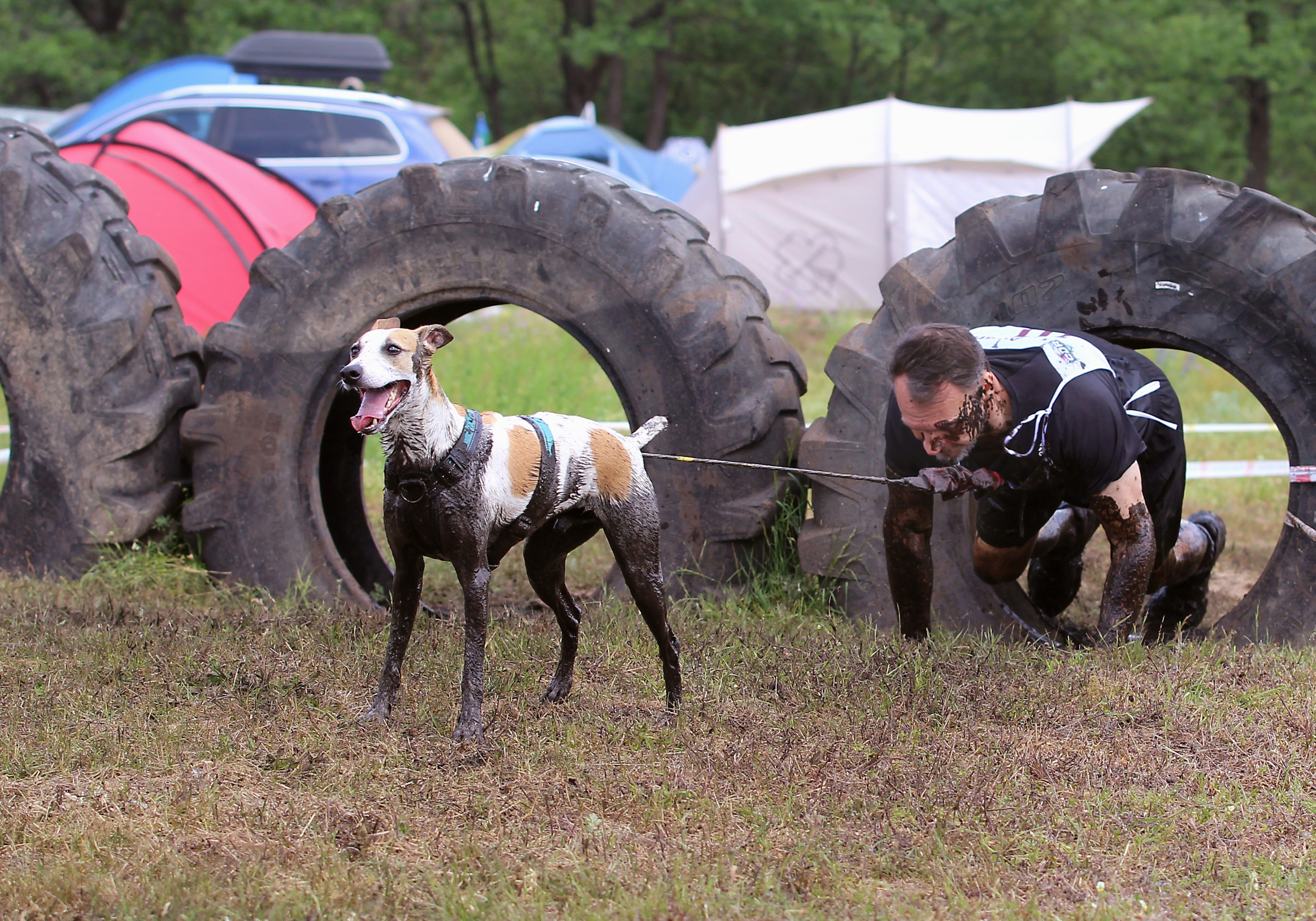 Хвостатый драйв. Семейный и детский фотограф в Москве и МО Елена Москвичева