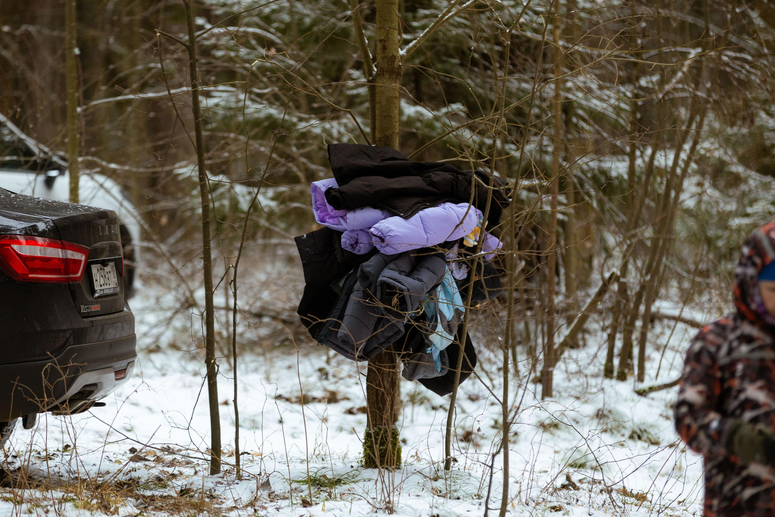 Спортивное ориентирование [8-9 декабря 2024 г.]. Фотограф Виноградов Константин