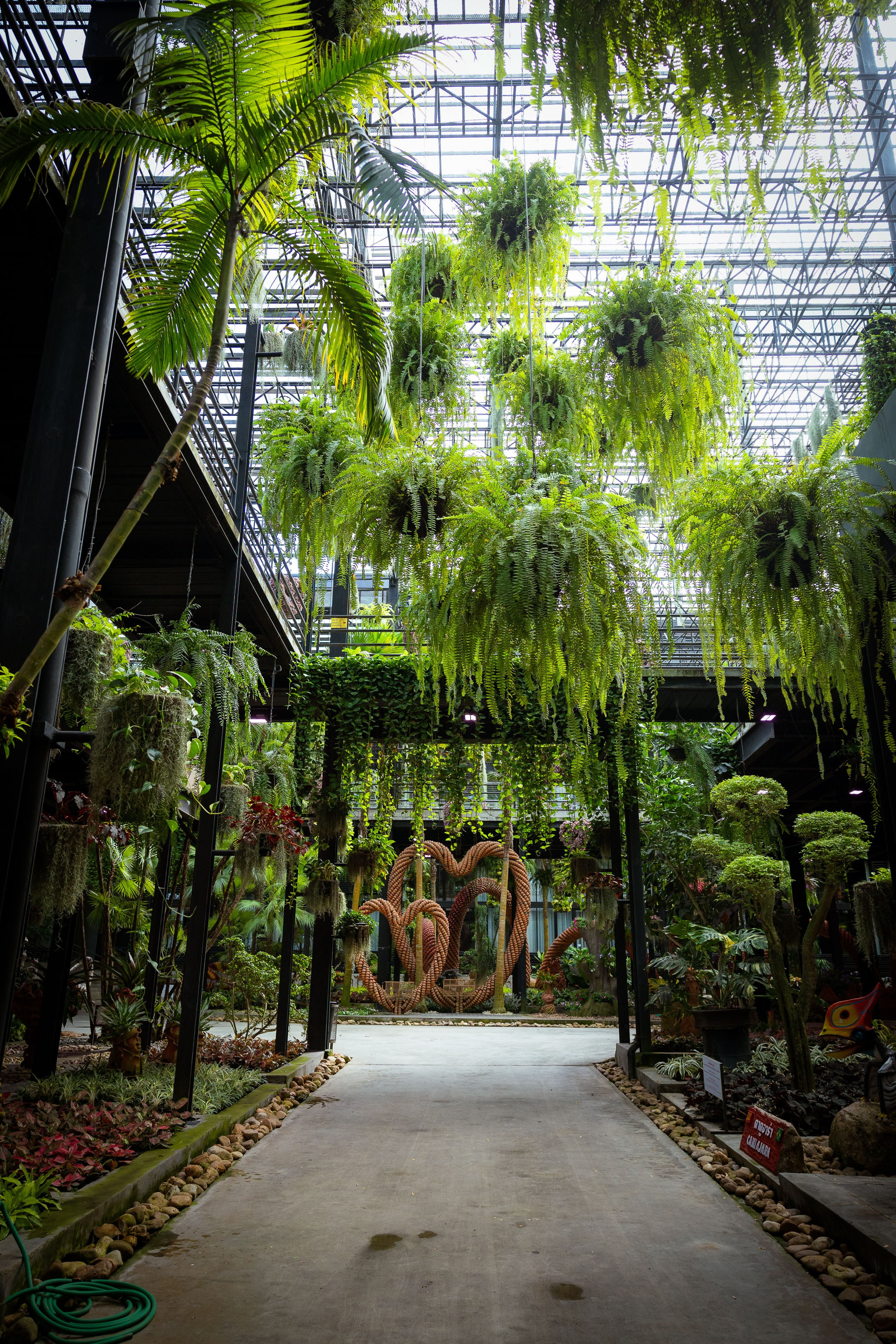 Таиланд (зима 2025). Фотограф Виноградов Константин