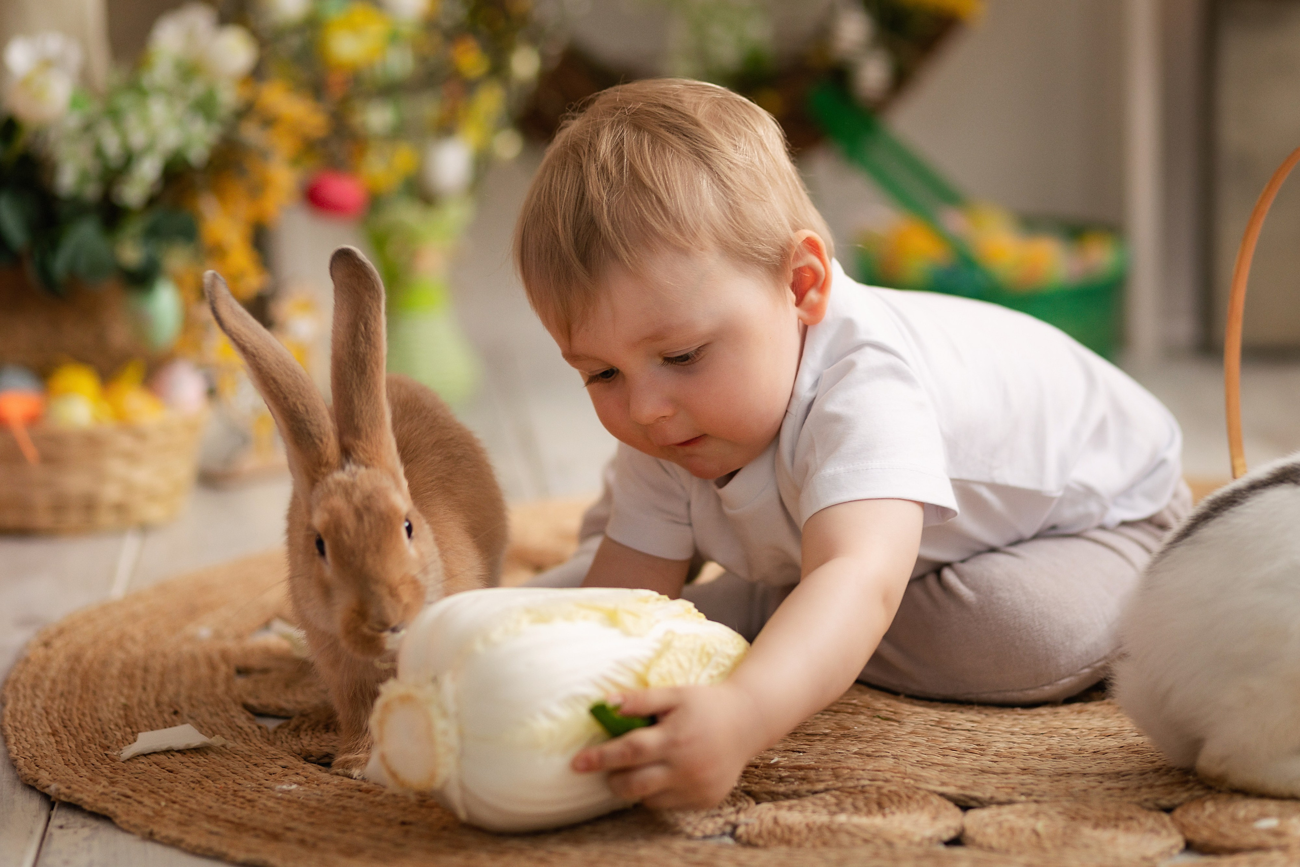 Фотопроект Пасхальный с кроликами. ФОТОГРАФ НА ГОДИК, БЕРЕМЕННОСТИ, НОВОРОЖДЕННЫХ, КРЕЩЕНИЯ МОСКВА