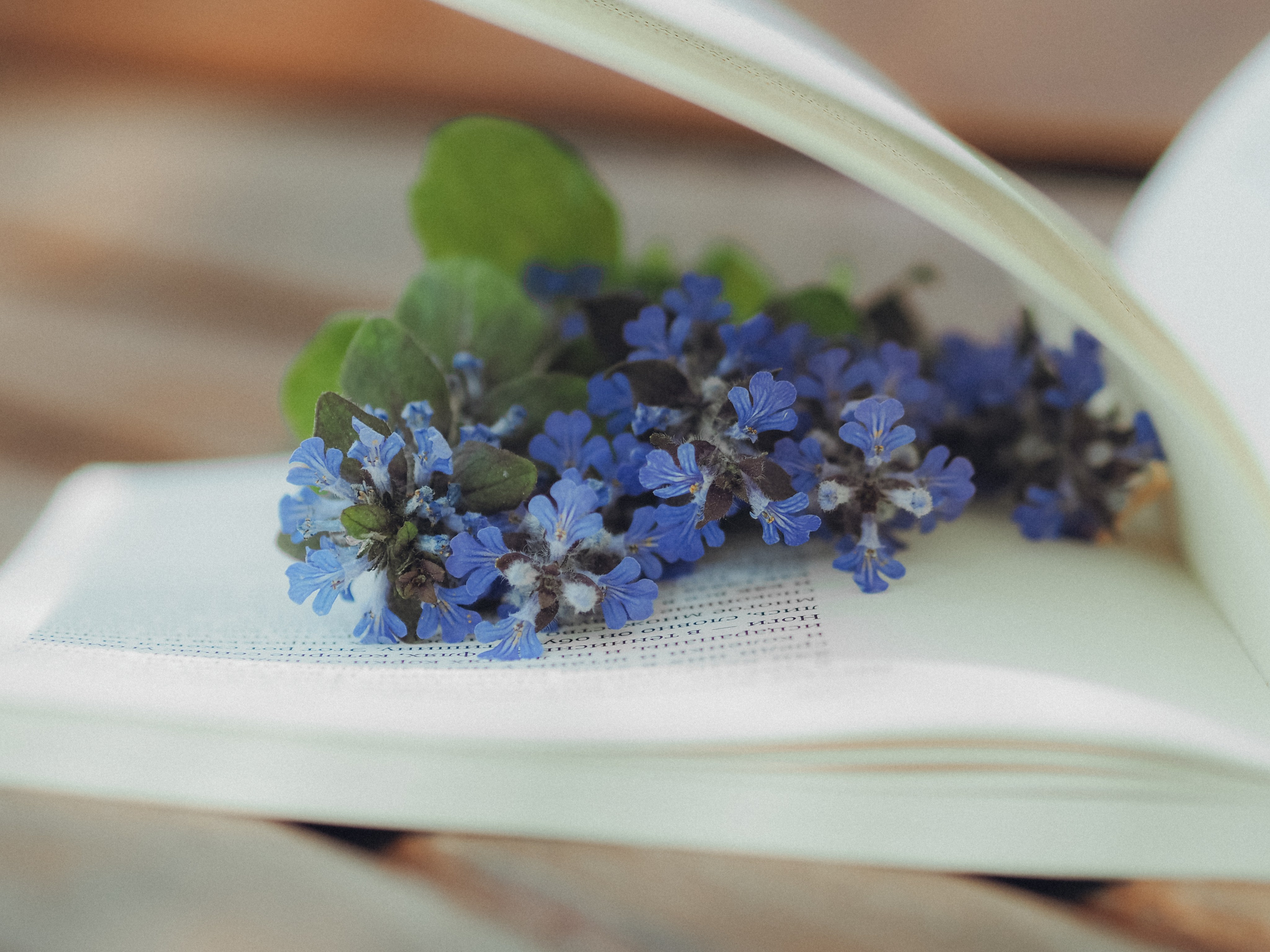 Мария. Фотограф в Москве — Сергей Люкшинов