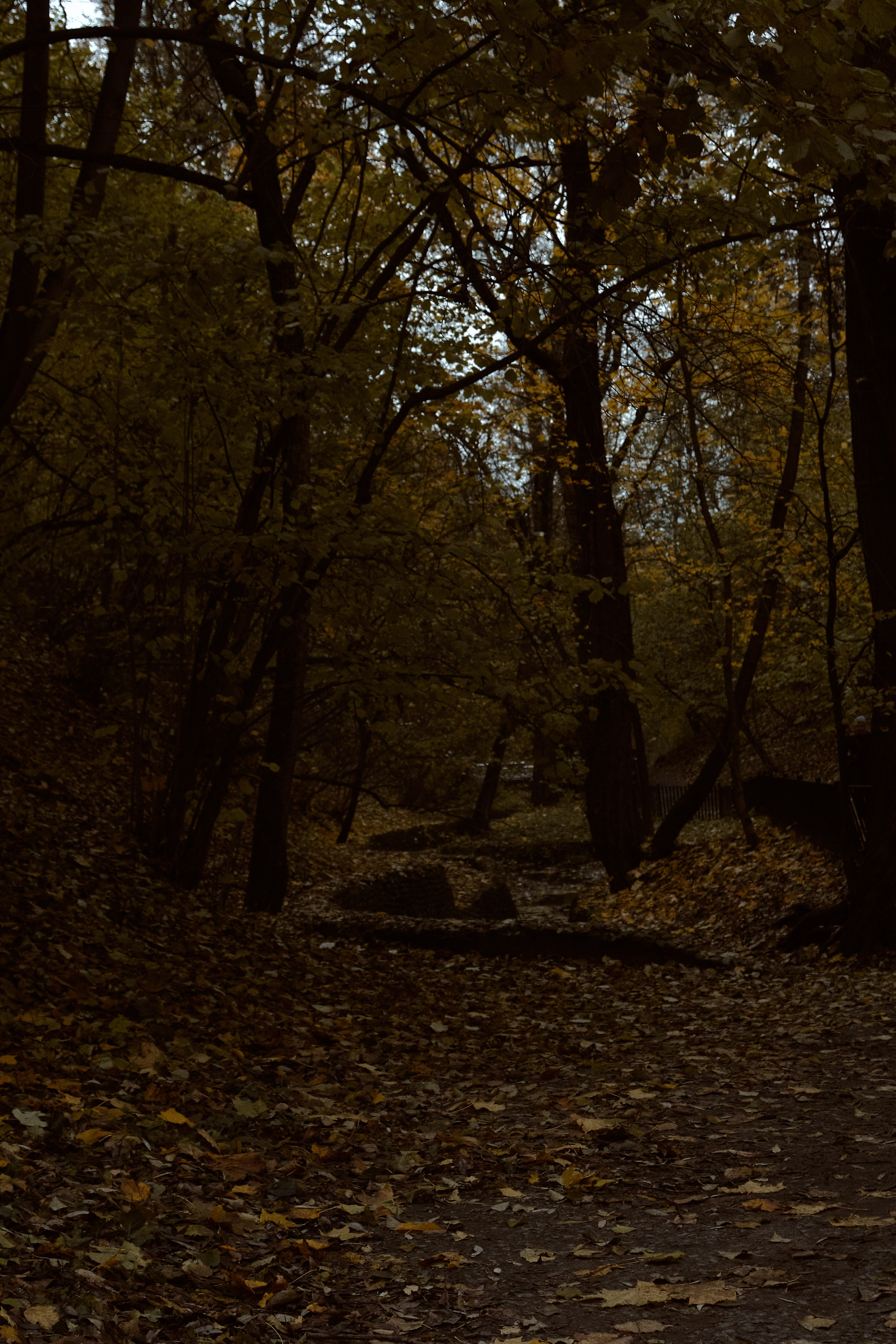Юлия и Евгений. Фотограф лавстори Москва/МО Приятелева Ангелина