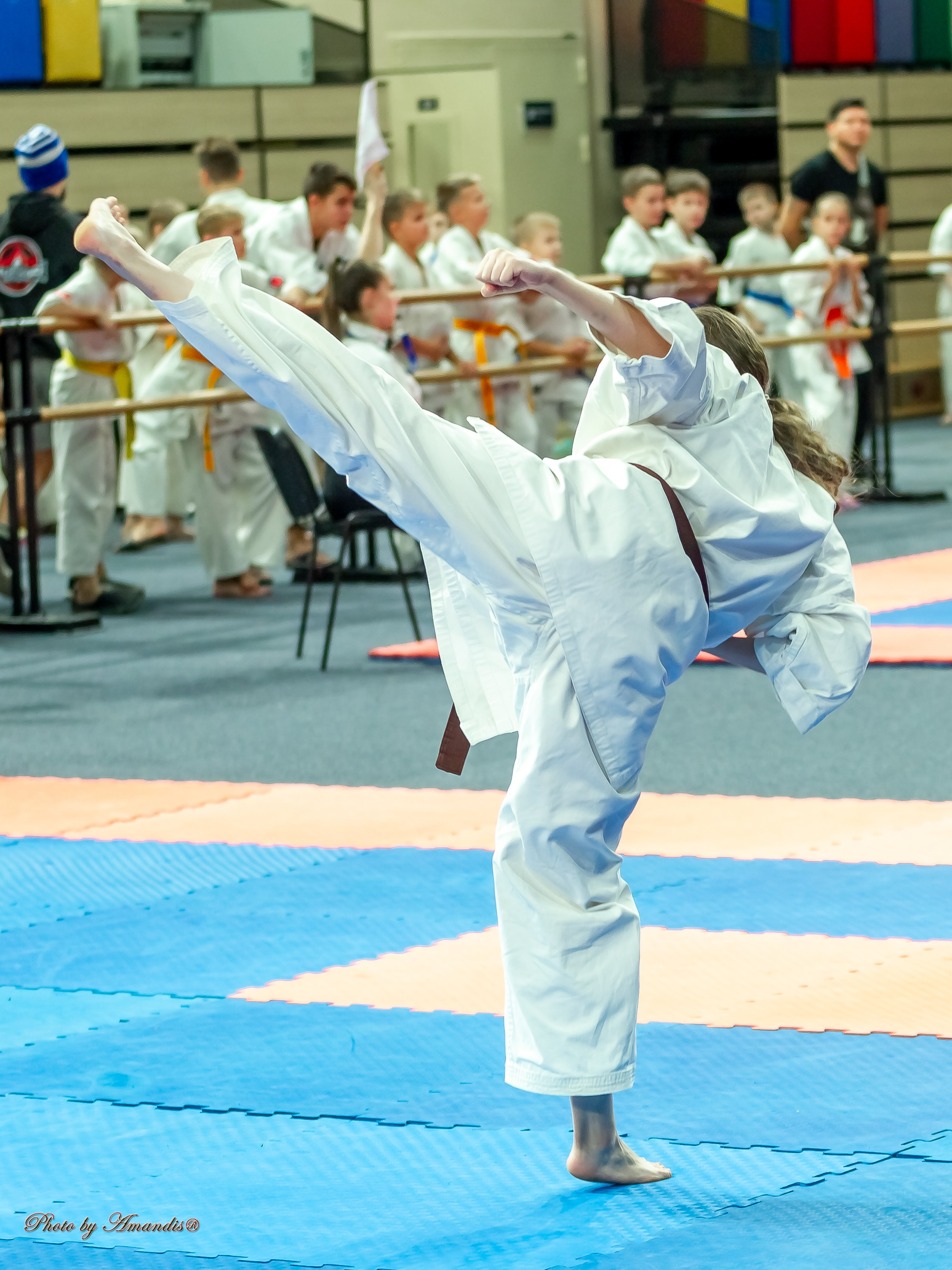 Первенство Московской области по Киокушин в СК «Жаворонки». Репортажная съемка в Москве и области. Анималистика