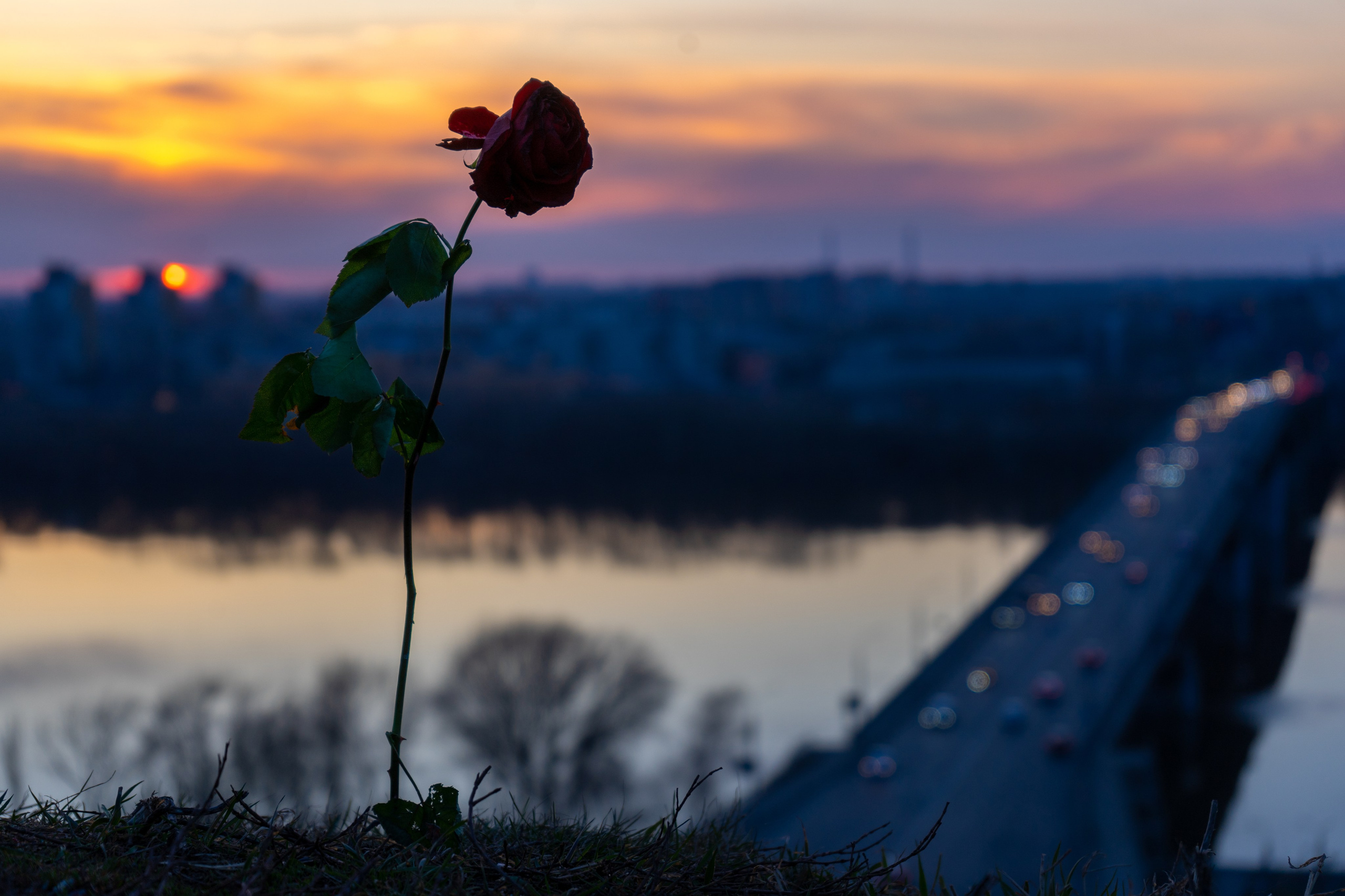 Нижний Новгород. Фотограф в Зеленограде Егор Дронов