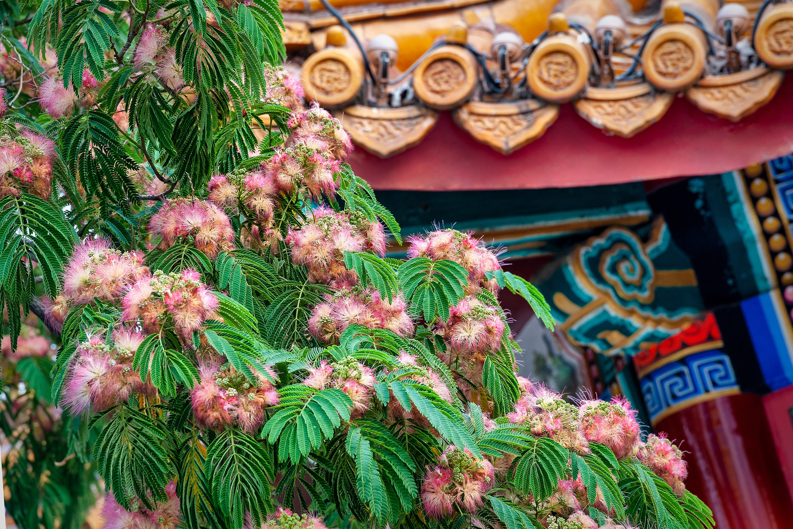 Весна. FotoGraf