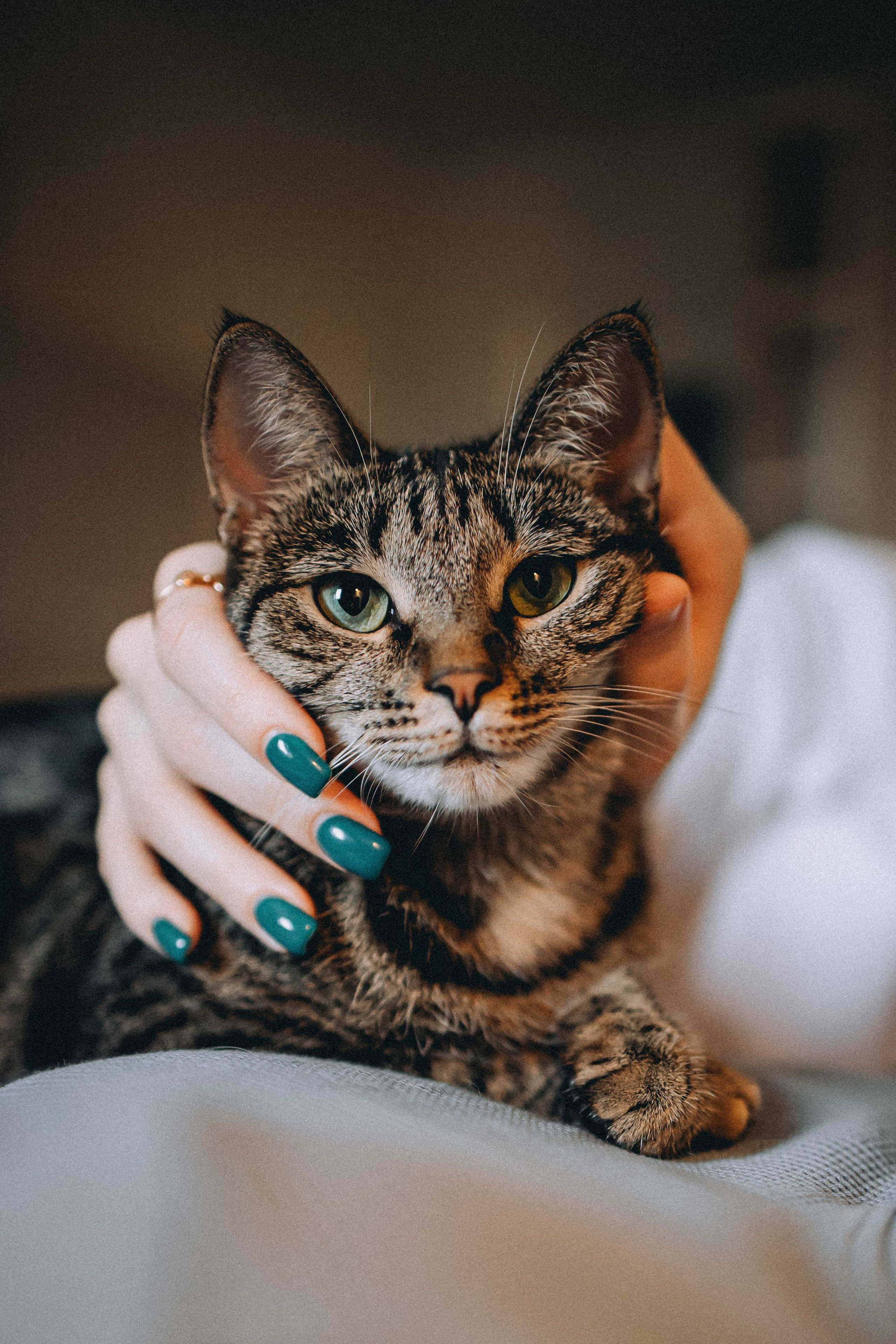 Рыся, Кепа и их семья