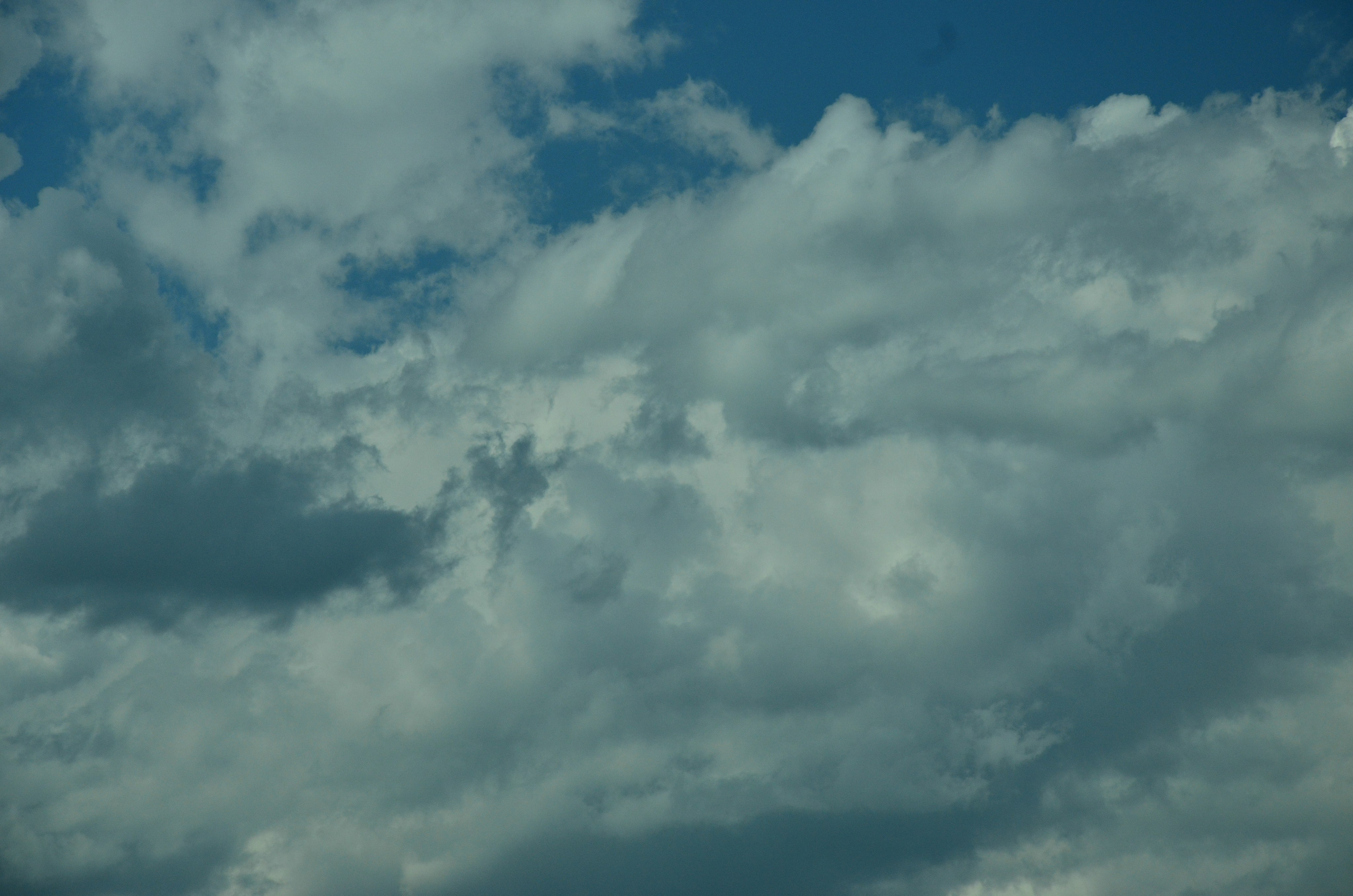 Дары природы. Фотограф viktor viktor