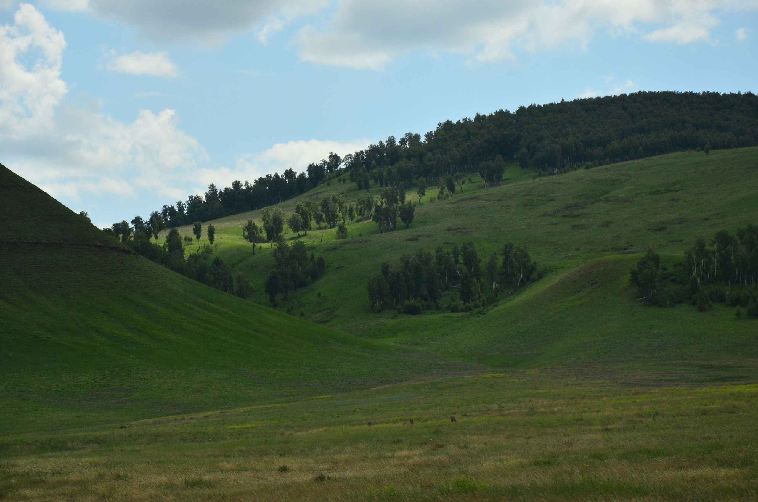 Дары природы. Фотограф viktor viktor