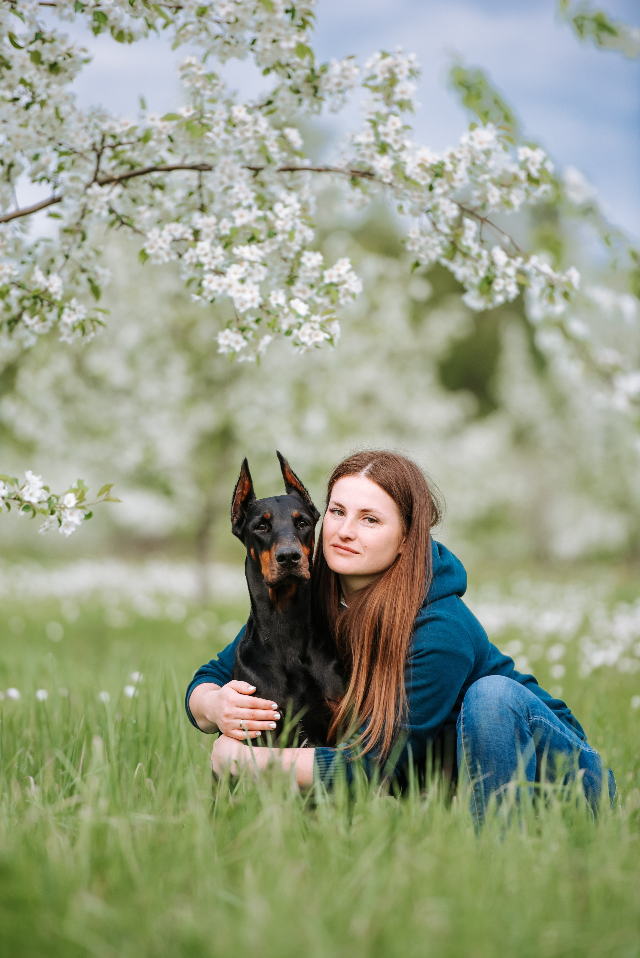Цветение с доберманами. Фотограф Диана Оленина Красноярск / Братск