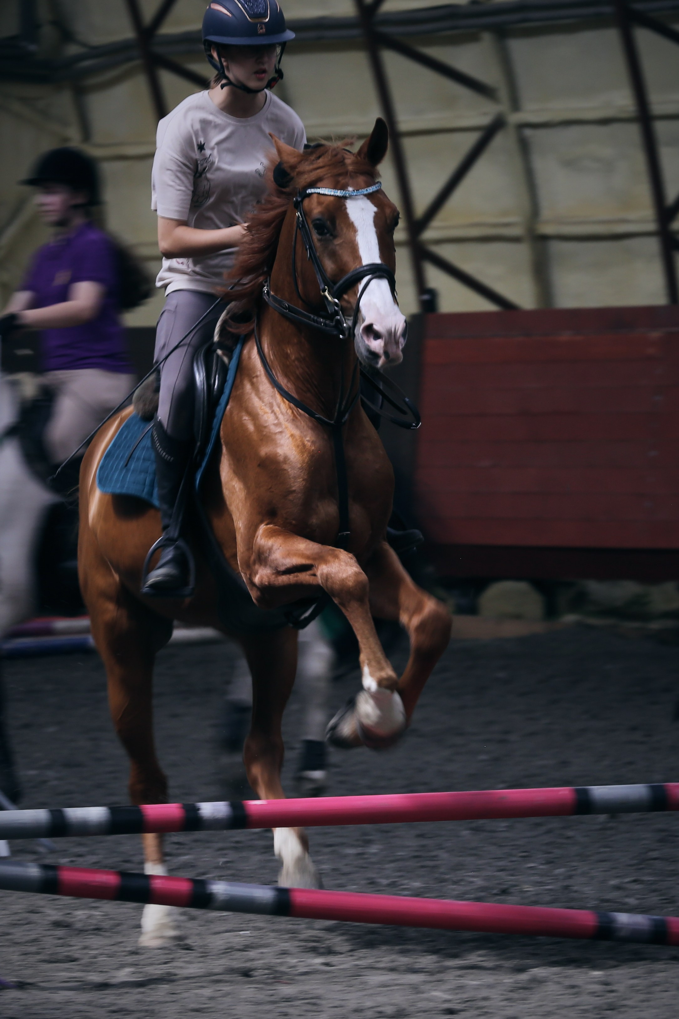 In a horse club NIMB. Фотограф Антонина Гудкова