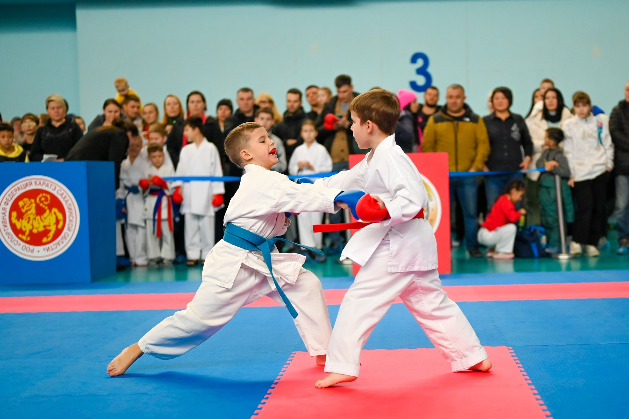 Карате. Фоторепортажи Сахалина
