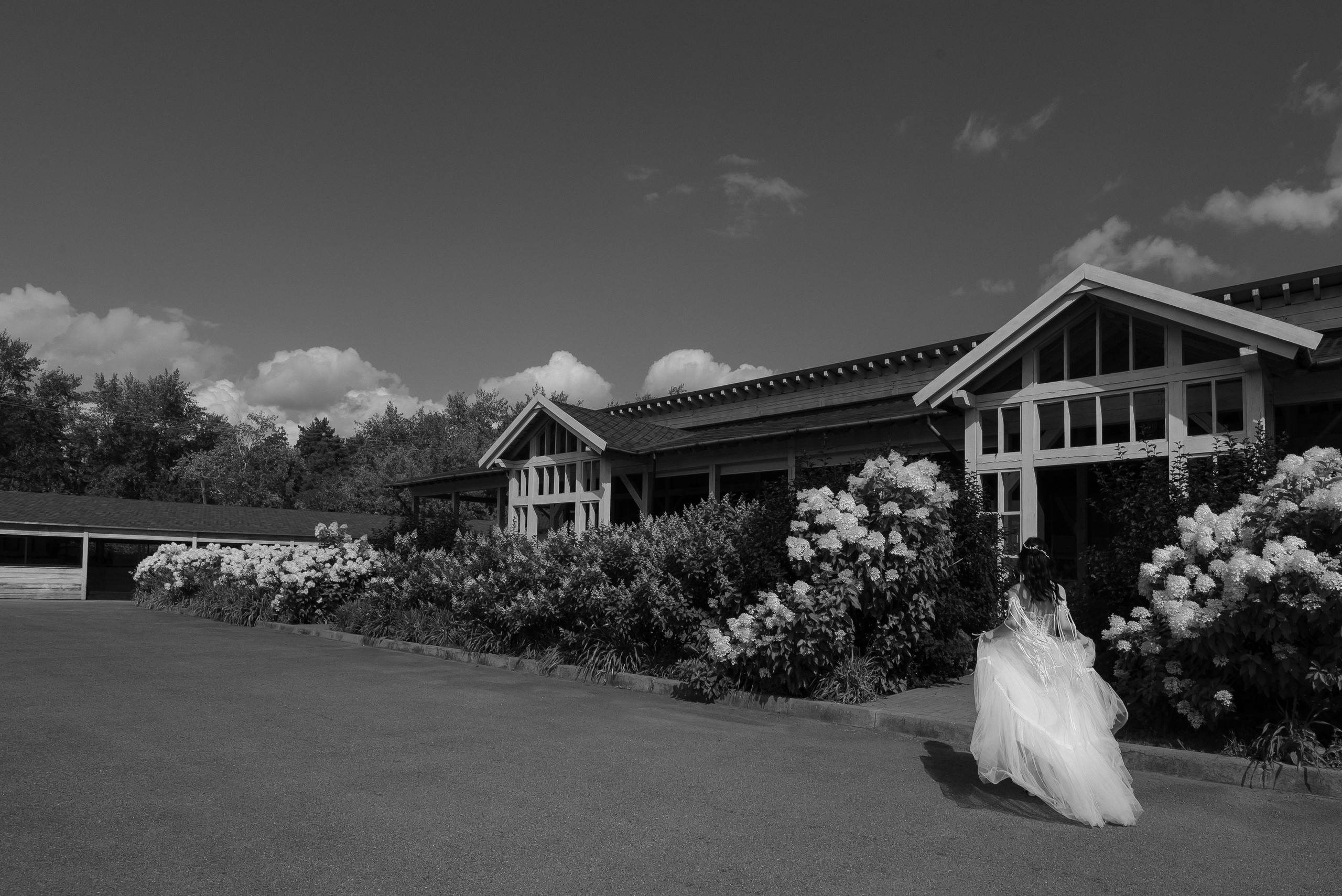 Серёжа-Кристина — Пегас. Свадебный фотограф Екатеринбург/Челябинск — Любовь Волохова