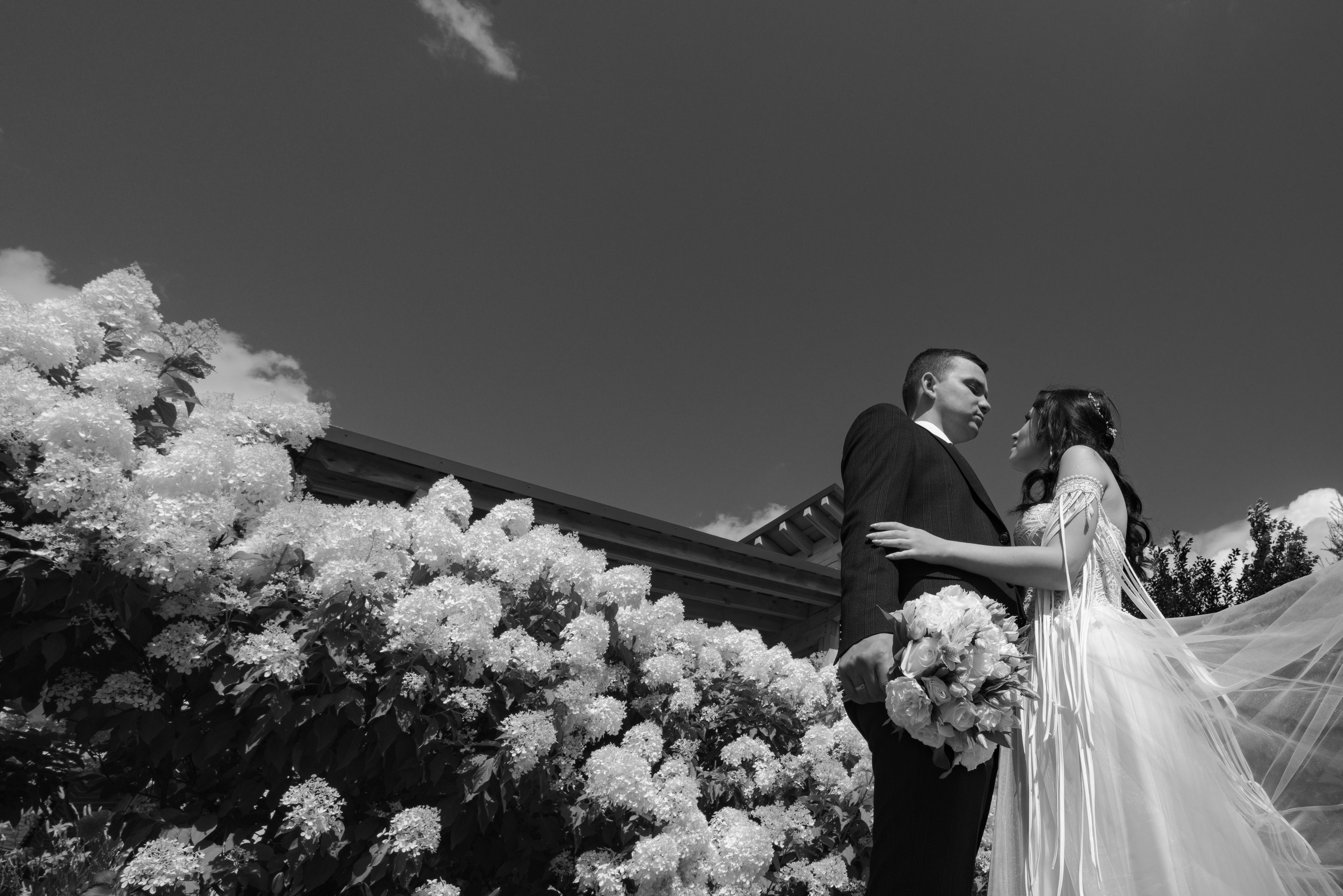 Серёжа-Кристина — Пегас. Свадебный фотограф Екатеринбург/Челябинск — Любовь Волохова