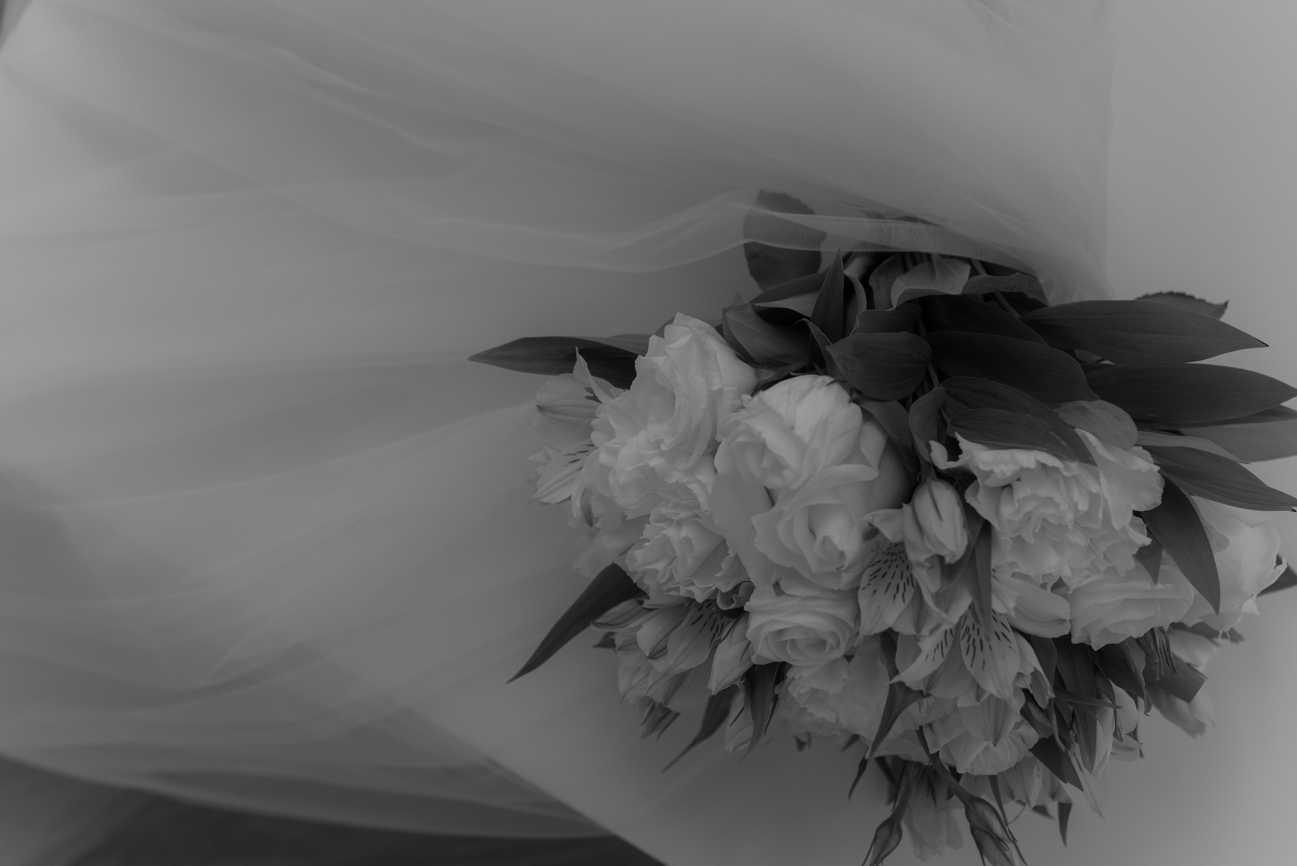 Серёжа-Кристина — Пегас. Свадебный фотограф Екатеринбург/Челябинск — Любовь Волохова