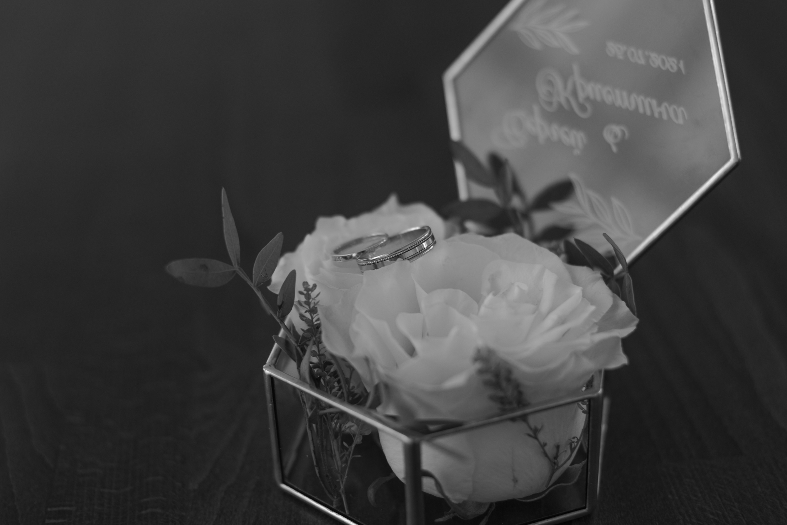 Серёжа-Кристина — Пегас. Свадебный фотограф Екатеринбург/Челябинск — Любовь Волохова