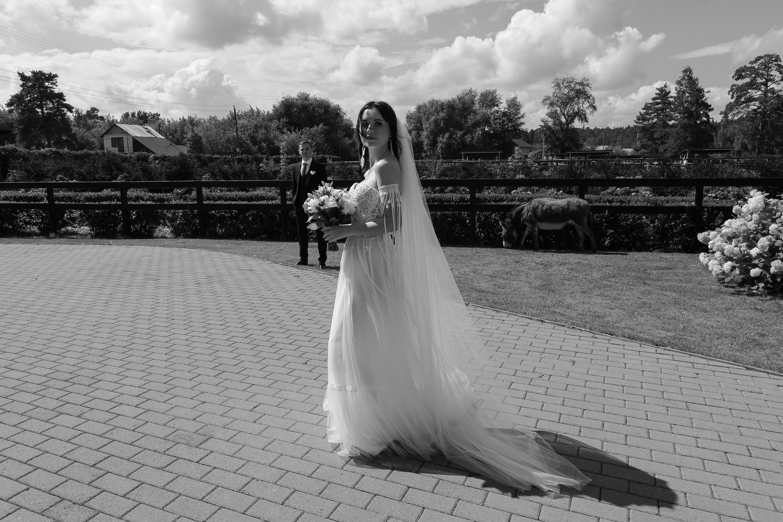 Серёжа-Кристина — Пегас. Свадебный фотограф Екатеринбург/Челябинск — Любовь Волохова