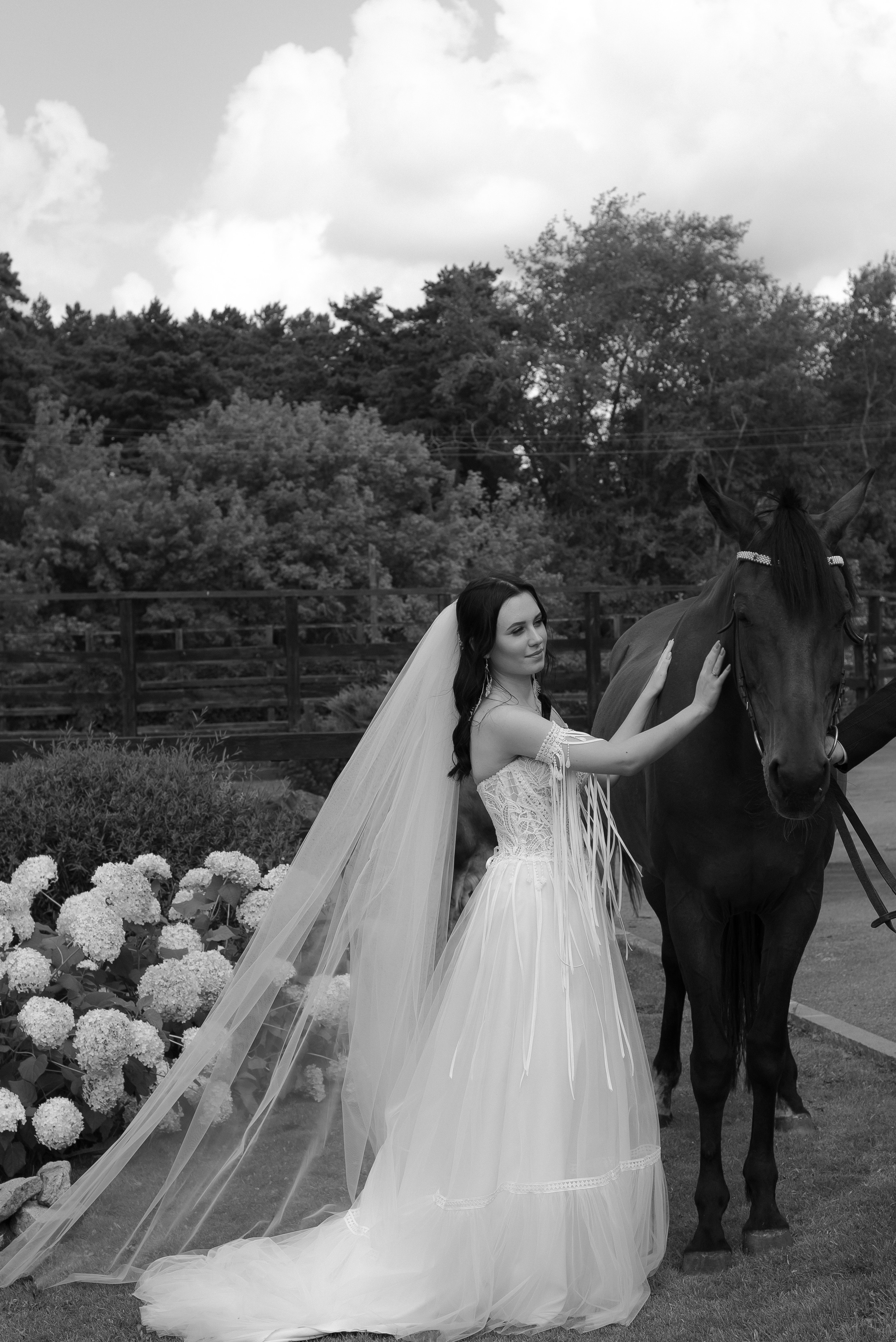 Серёжа-Кристина — Пегас. Свадебный фотограф Екатеринбург/Челябинск — Любовь Волохова