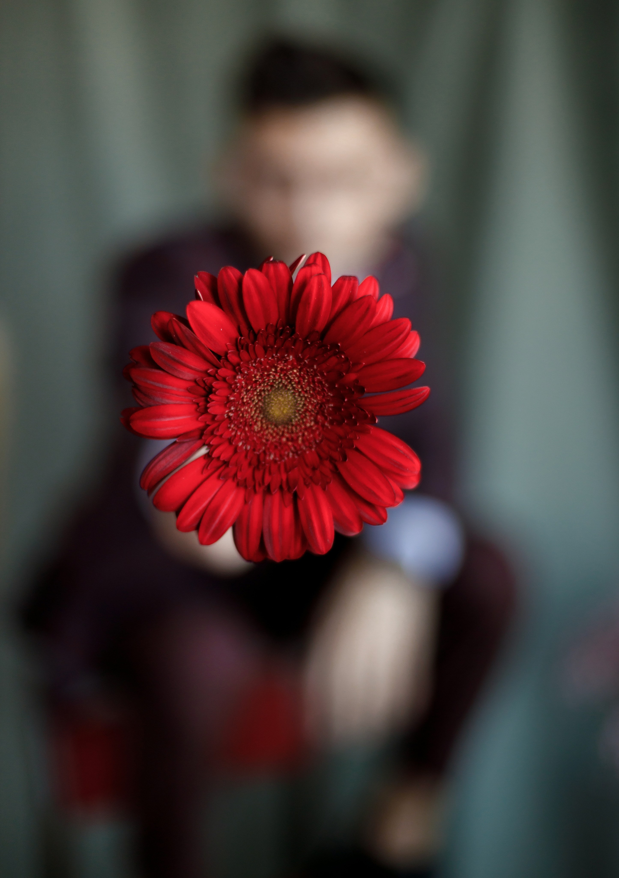 Портрет. Свадебный фотограф Станислав Стиви