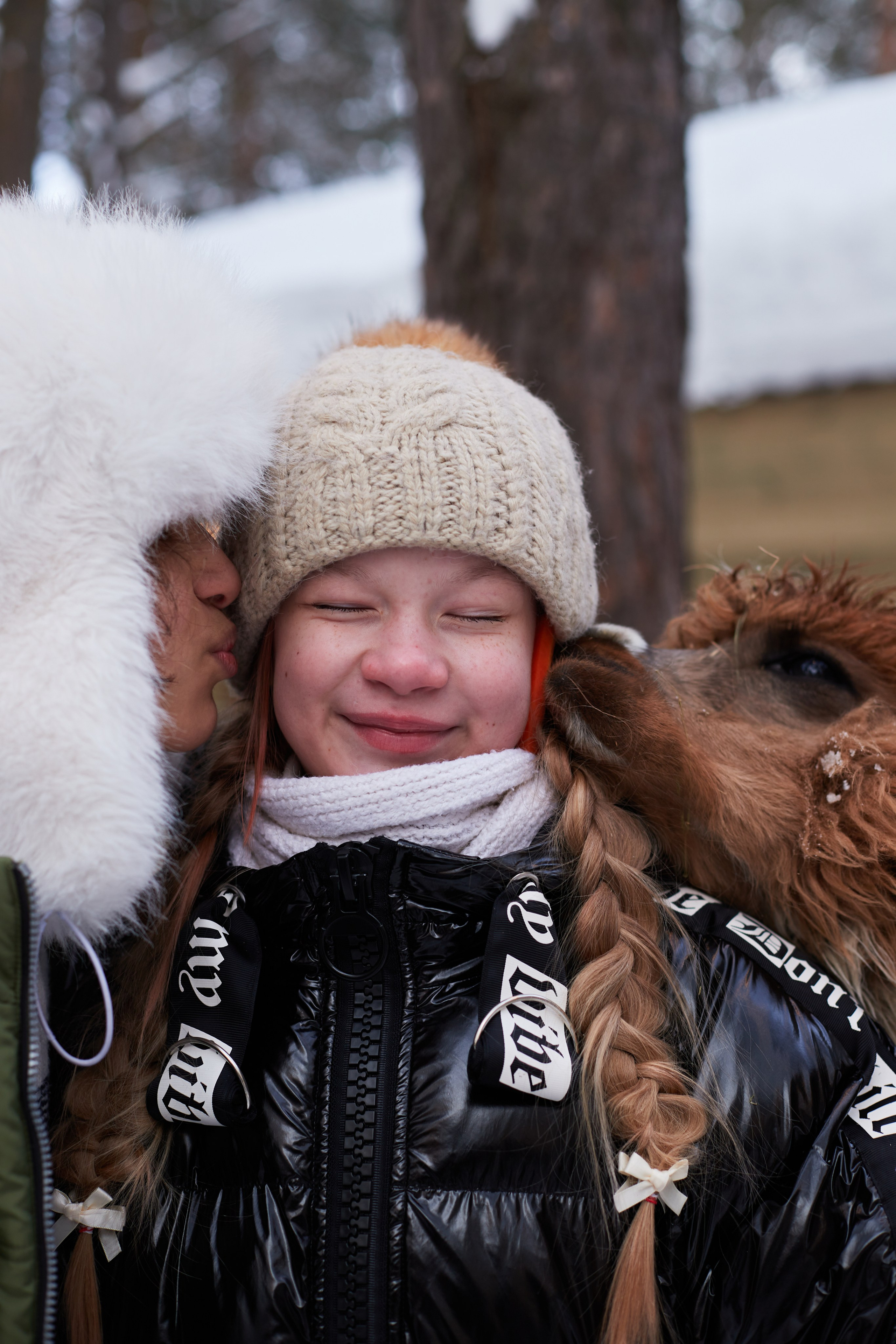 Альпака парк «Симба». Профессиональный фотограф Лилия Галеева