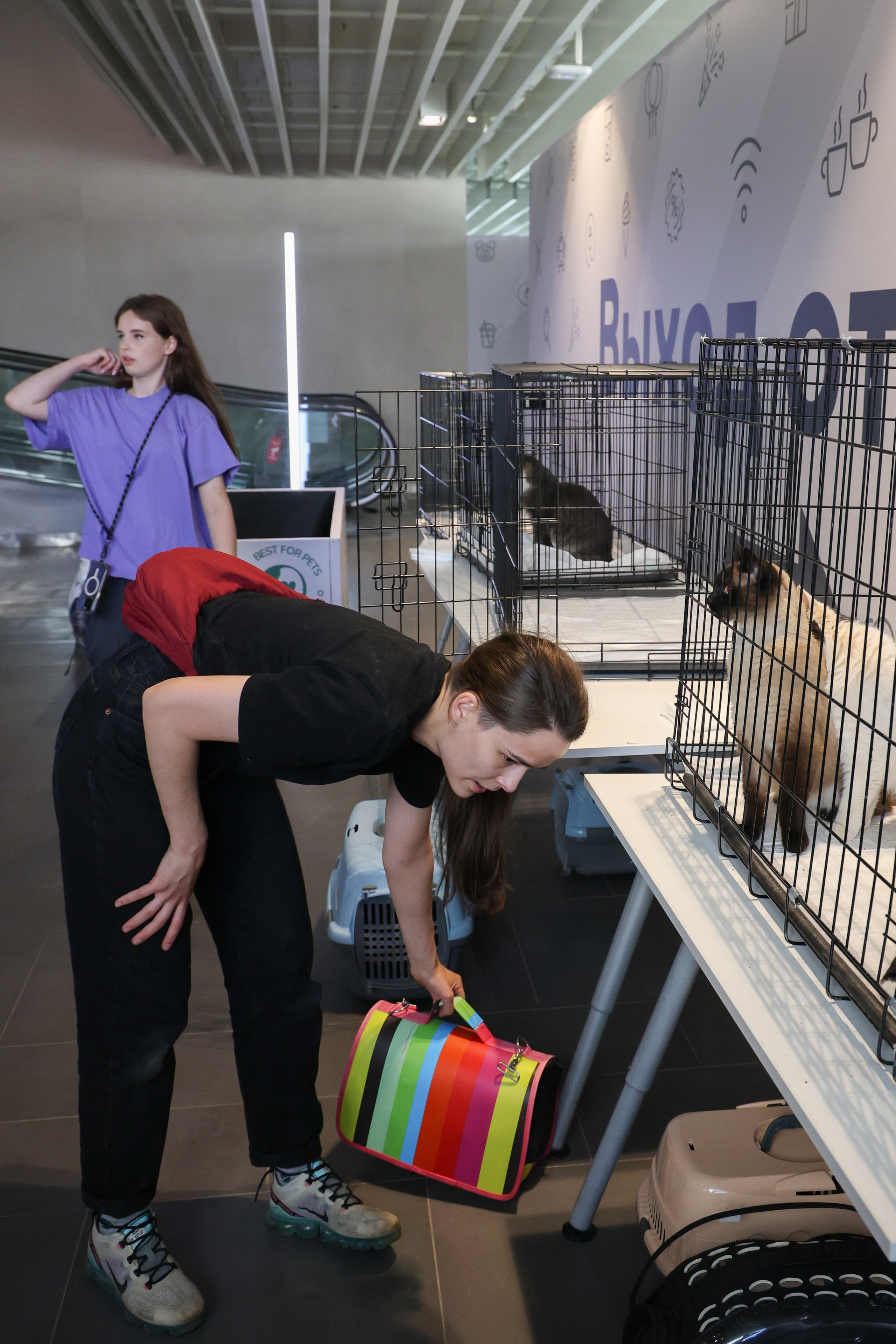 ECO FEST. Фотограф Вадим Бодылев