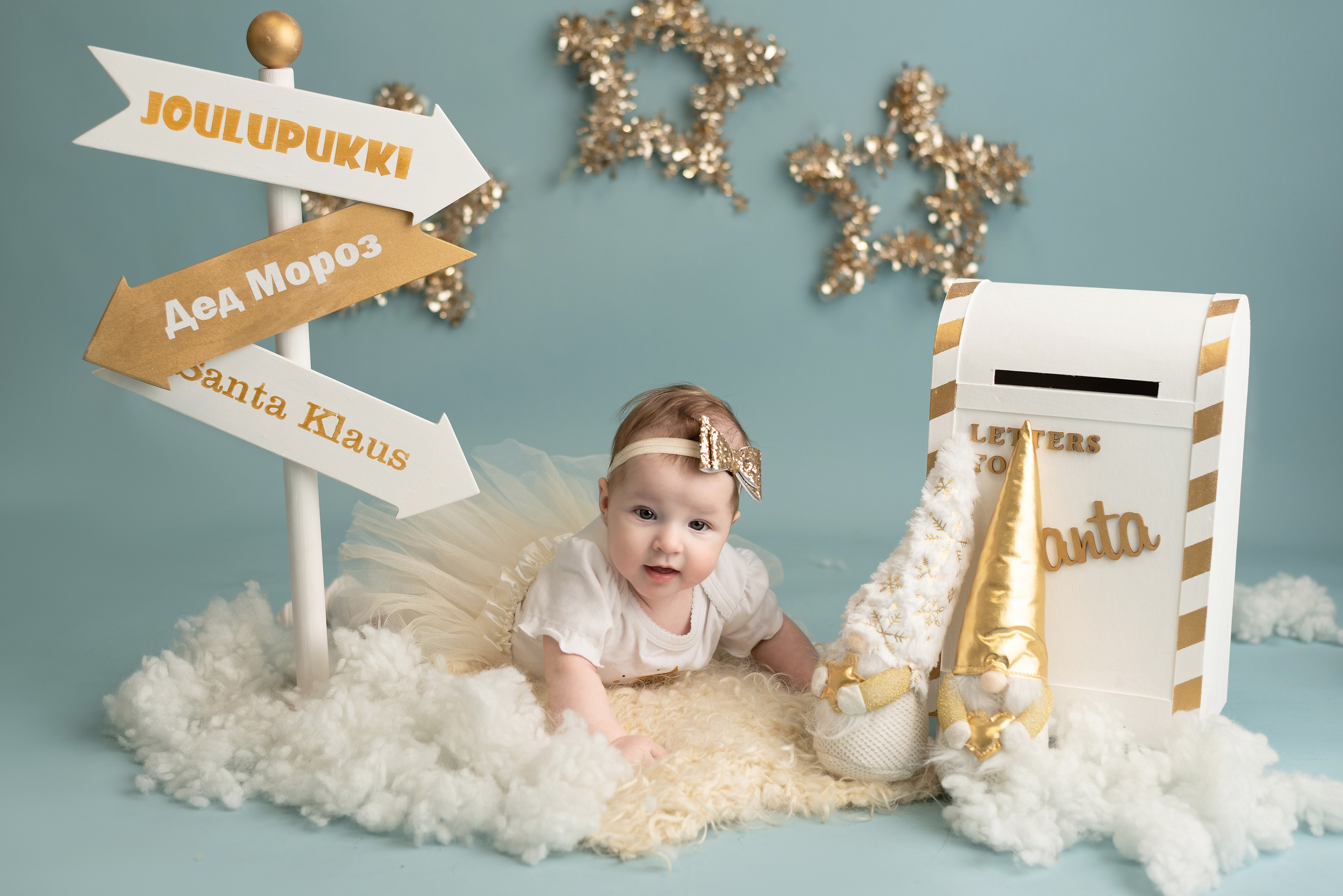 Gift for the New Year