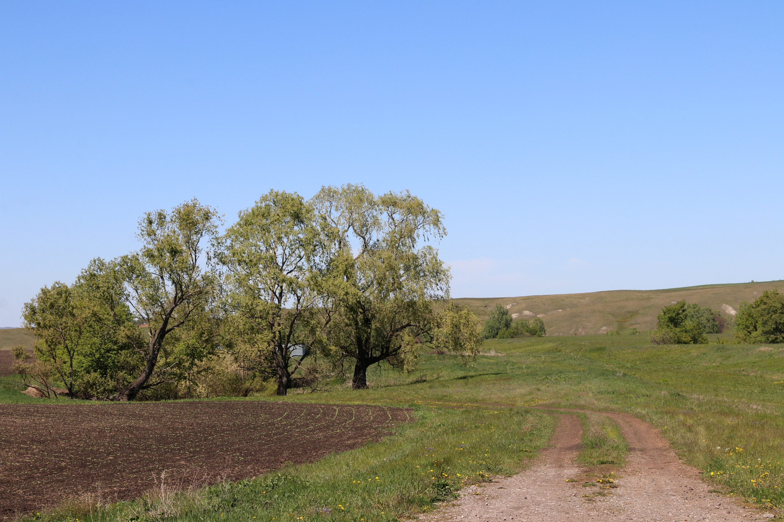 Велопоход Уфа — Мелеуз. Май 2024. Путешественник-фотограф из Санкт-Петербурга Татьяна Свистулина
