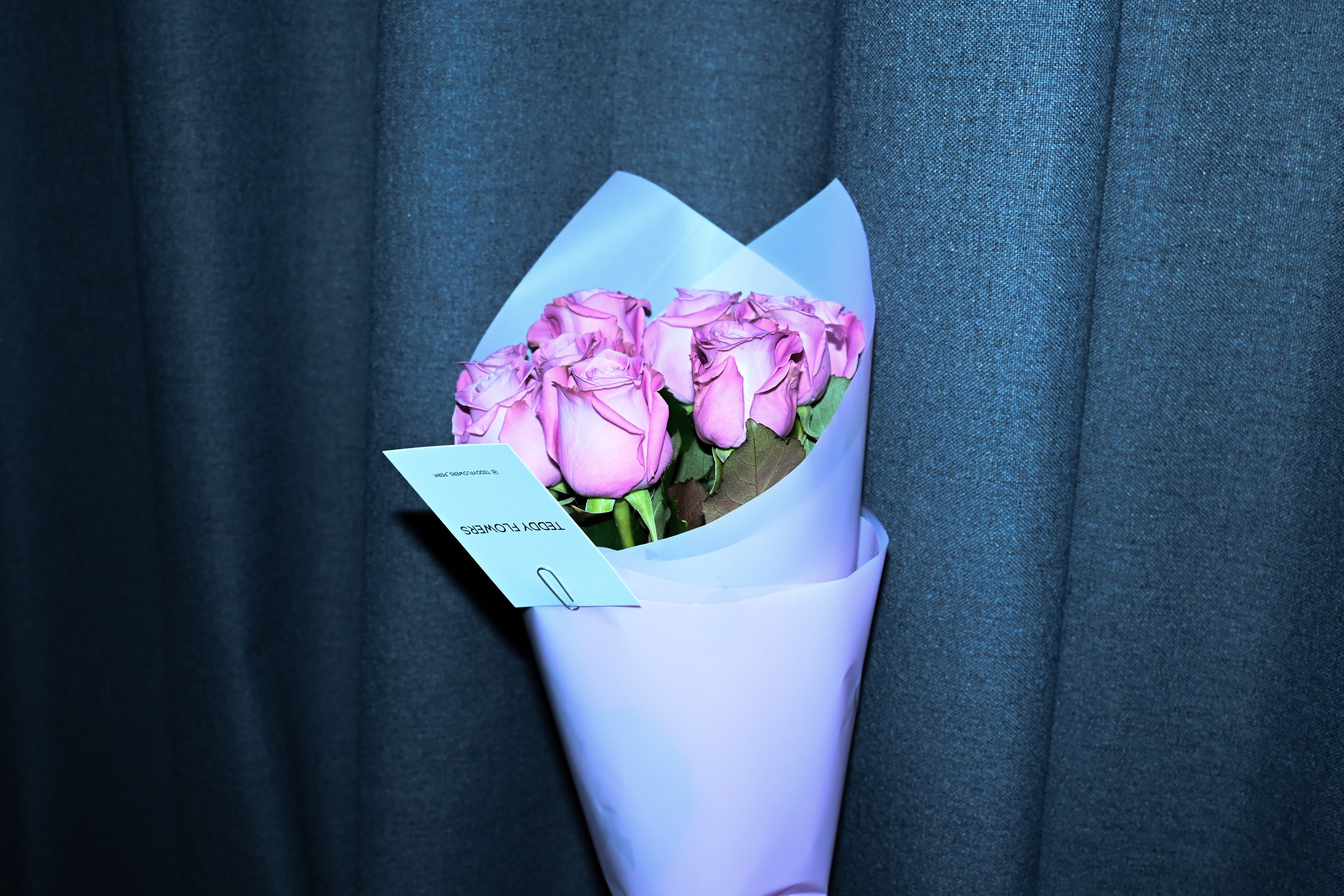 ANNIVERSARY. EKATERINA VILISOVA