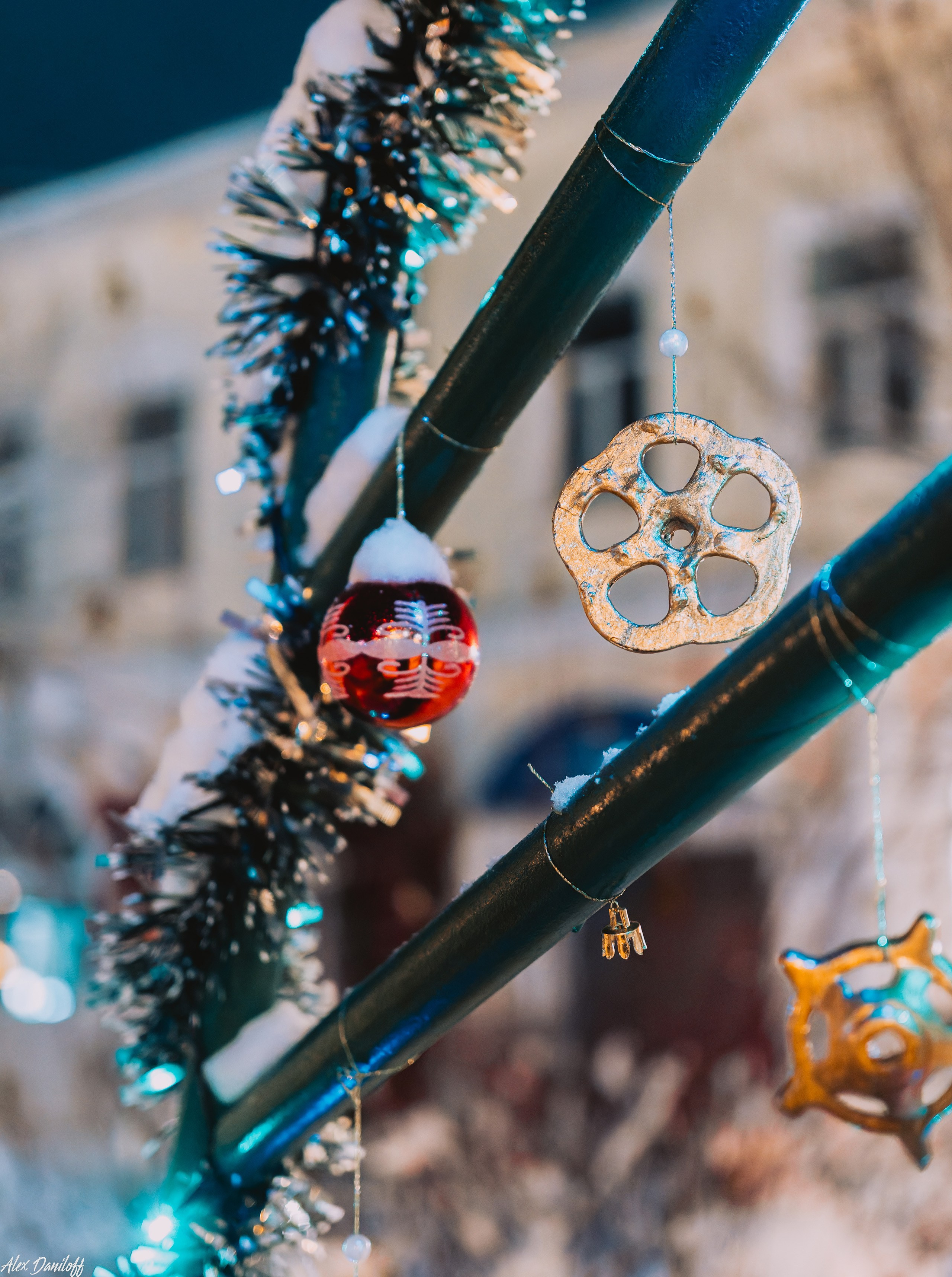 Елки 2025. Муром-Инфо. Новости культуры, образования, спорта в городе Муром