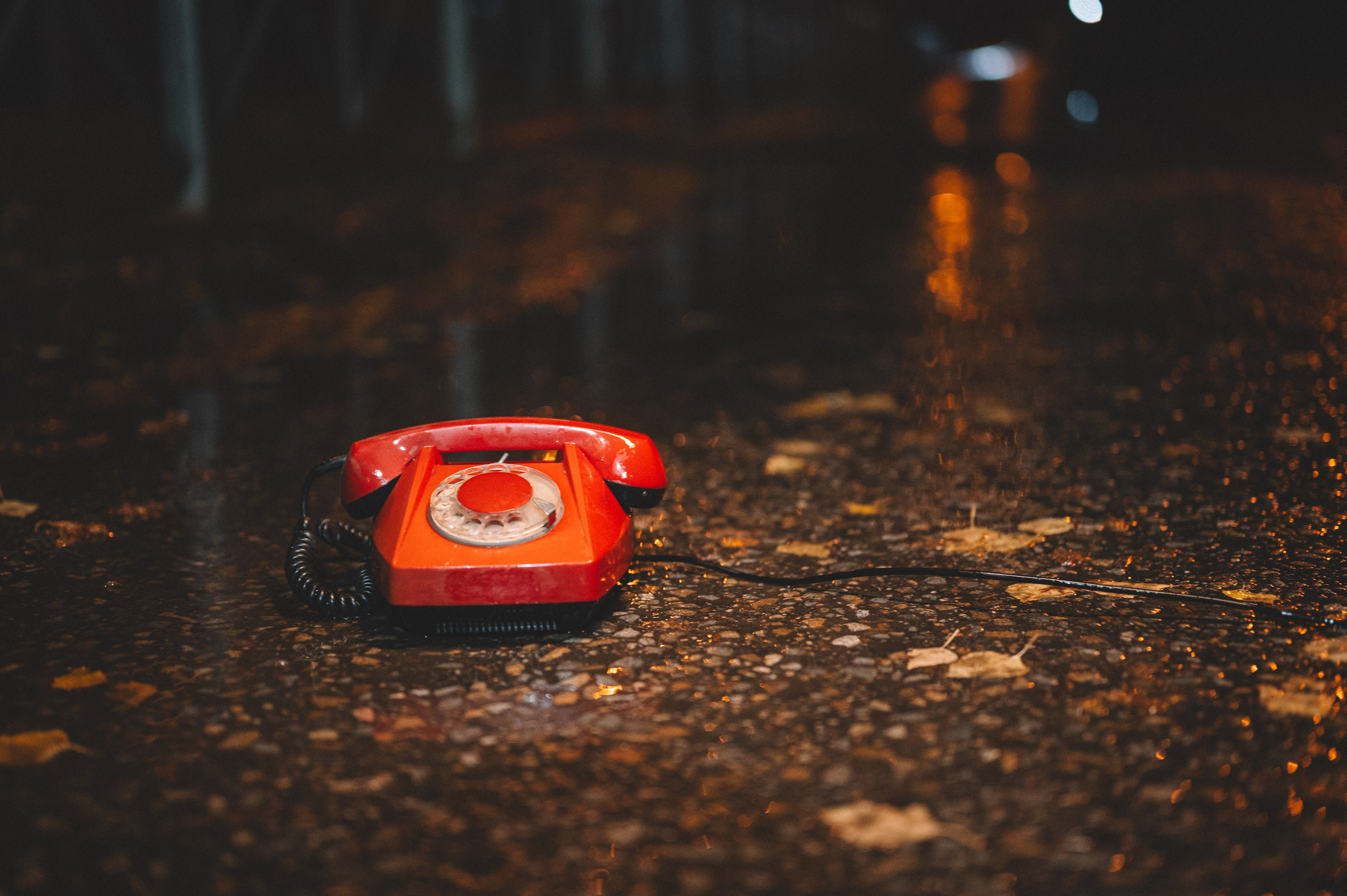 Обложка альбома для Прячемся!!!. Фотограф Анна Темнова. Пенза