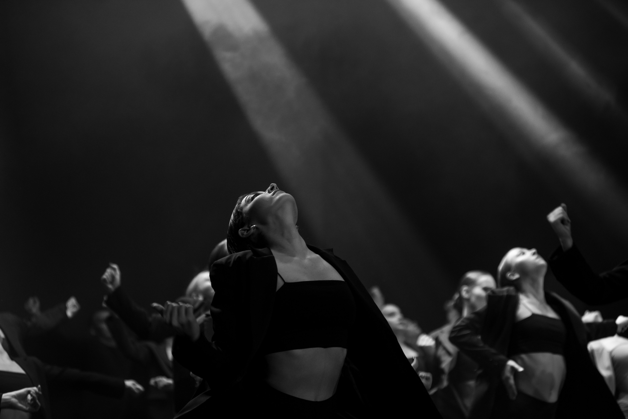 Фламинго | VNЕфокуса