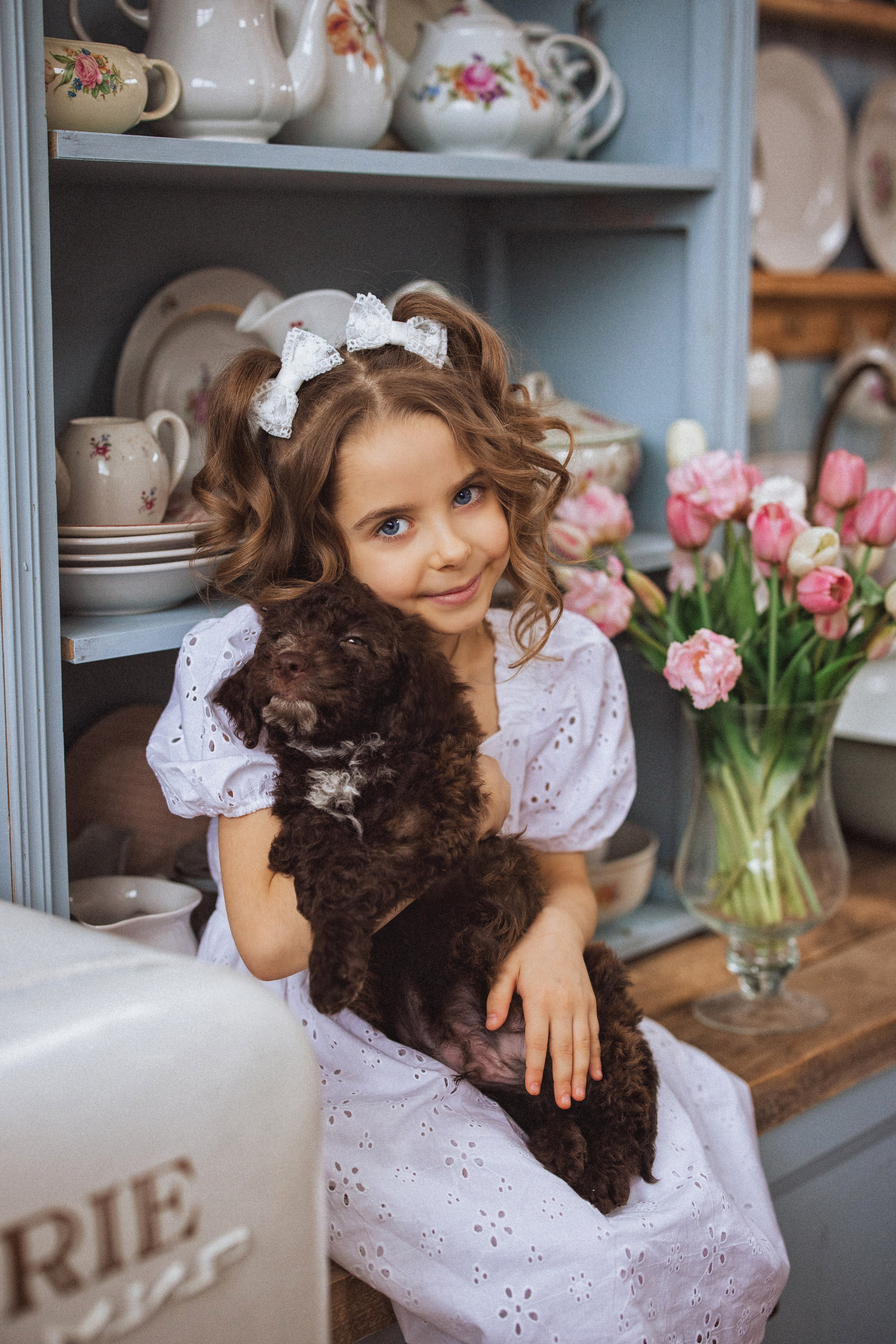 Фотосессия с щенками Лаго́тто-романьо́ло, в Винтажной фотостудии город Краснодар. Семейный и детский фотограф в Краснодаре Анна Трашкова