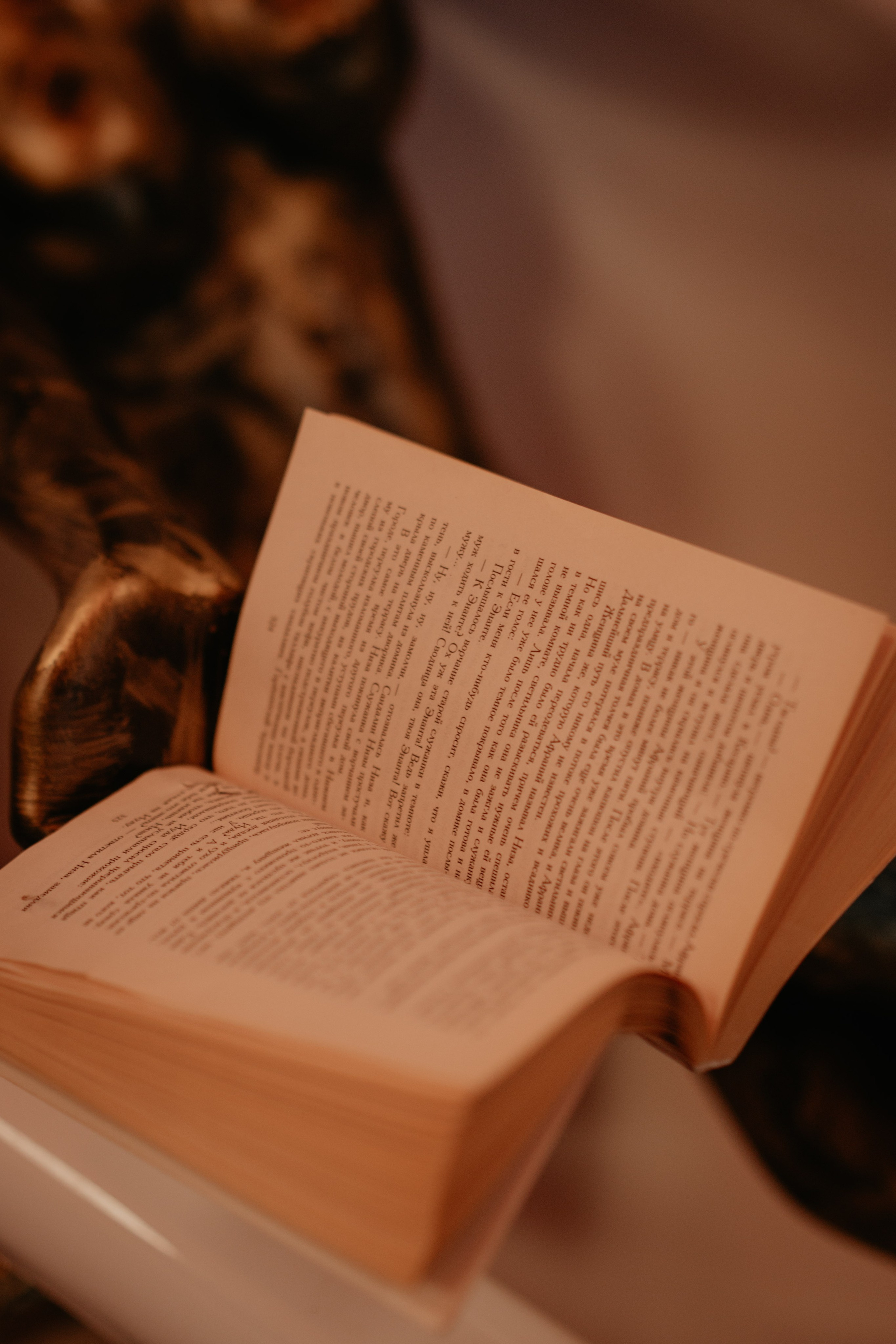 Открытие гастробара. Фотограф и Видеограф Севастополь Крым