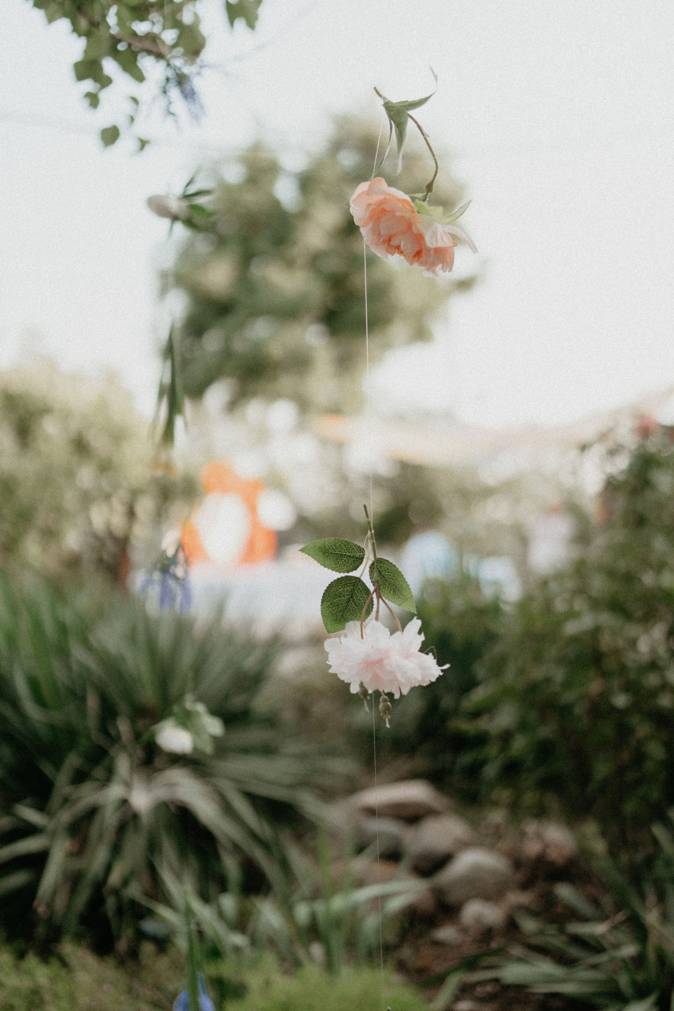 Z&A. Фотограф и Видеограф Севастополь Крым