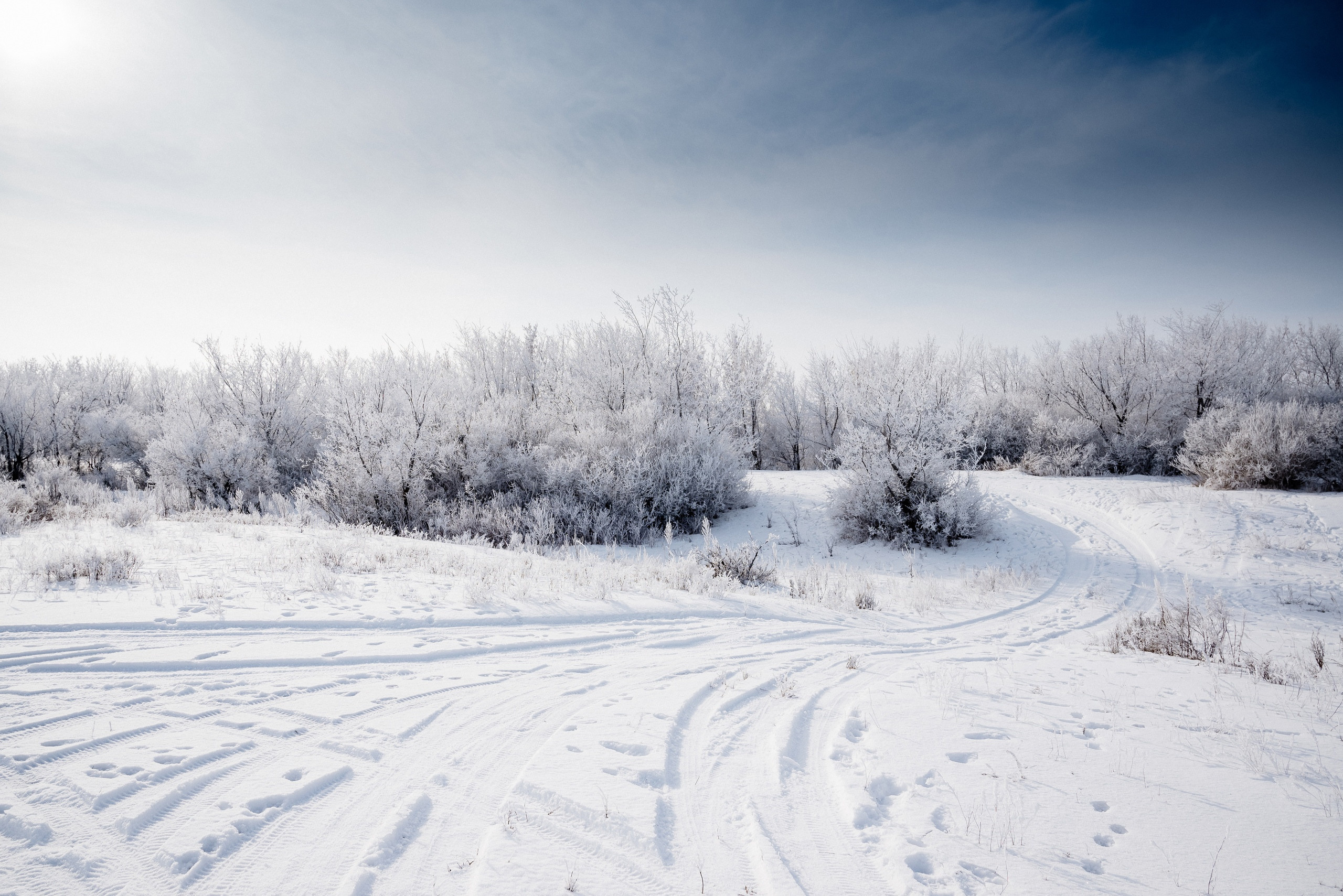 иней, зима, мороз, деревья, небо, дубрава уральск