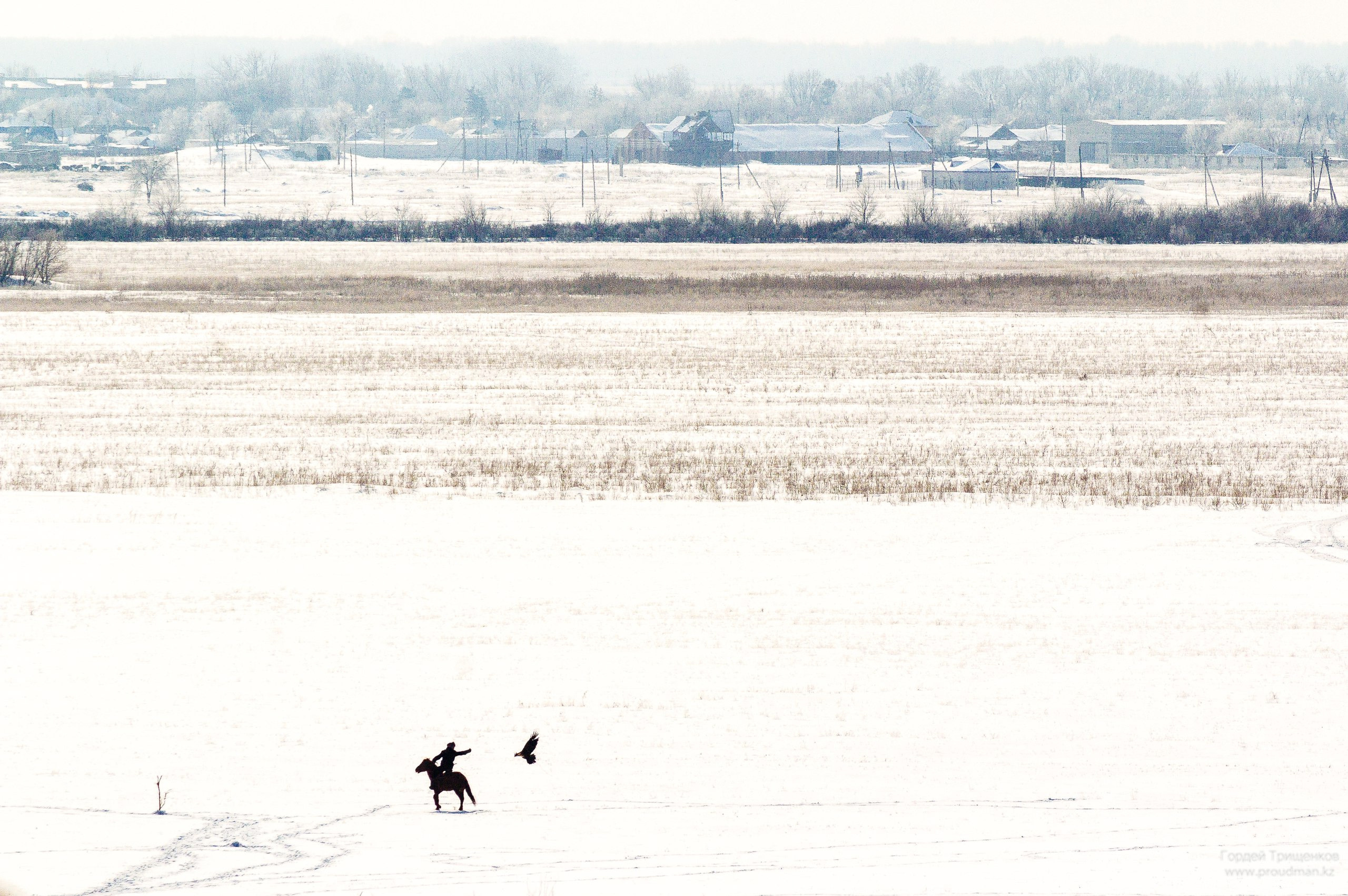 лошадь, беркут, охота
