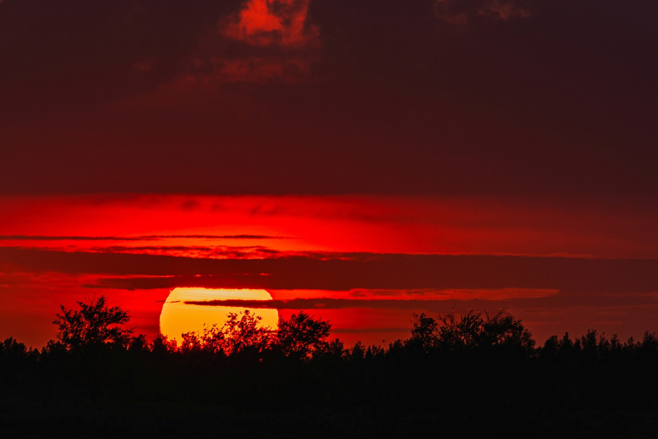 закат, солнце, саванна