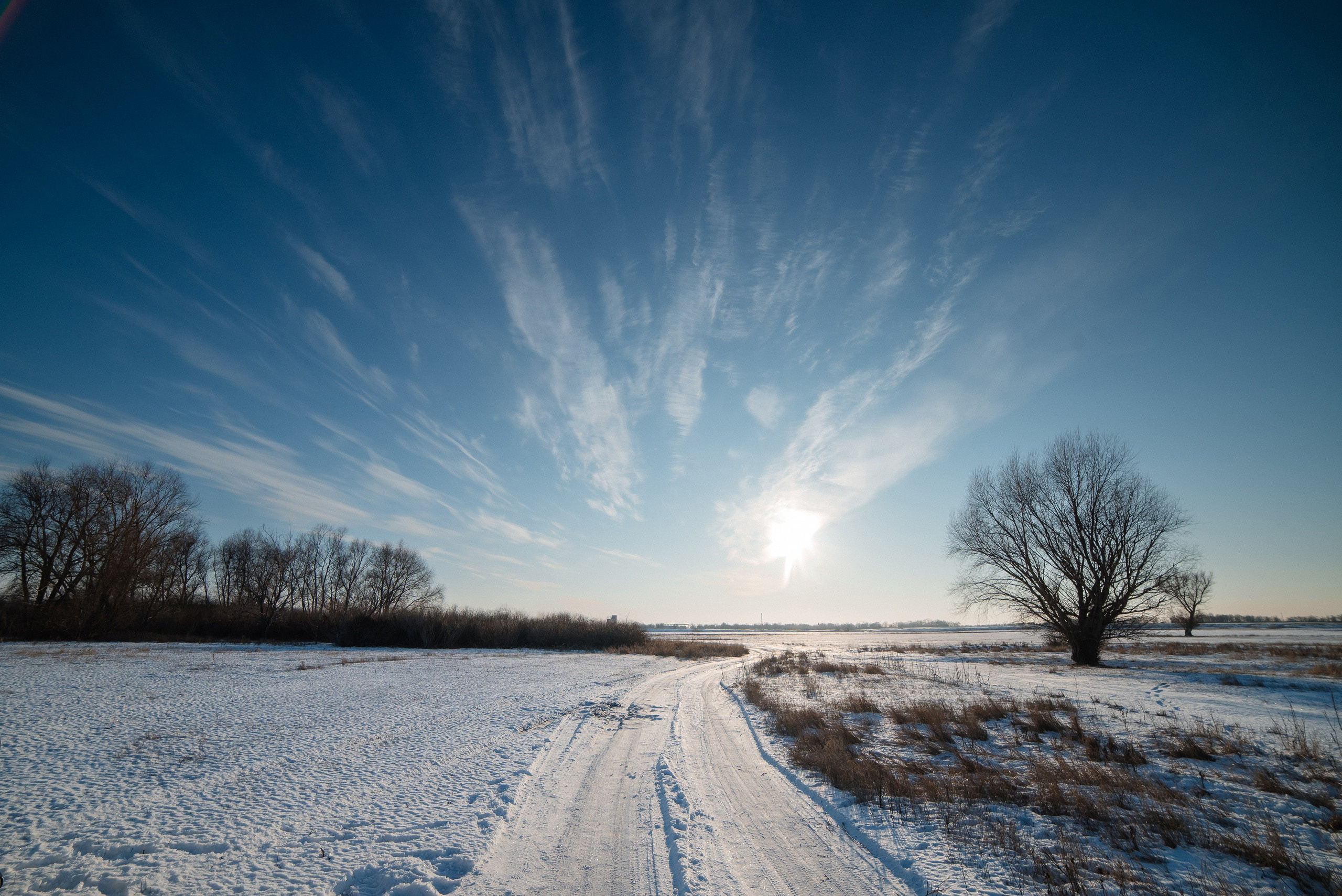 небо, солнце, снег, зима