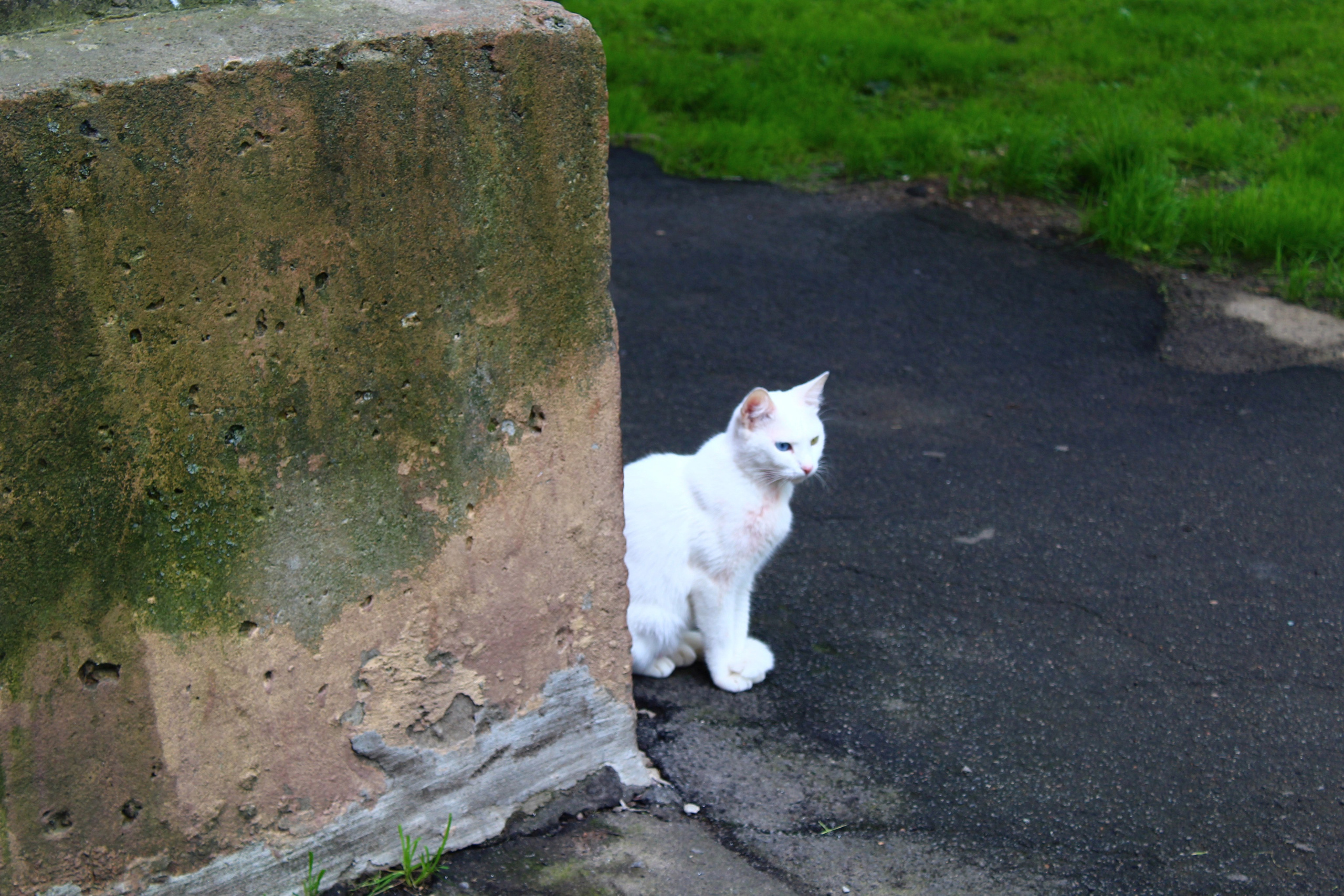 Всё, что я вижу вокруг себя