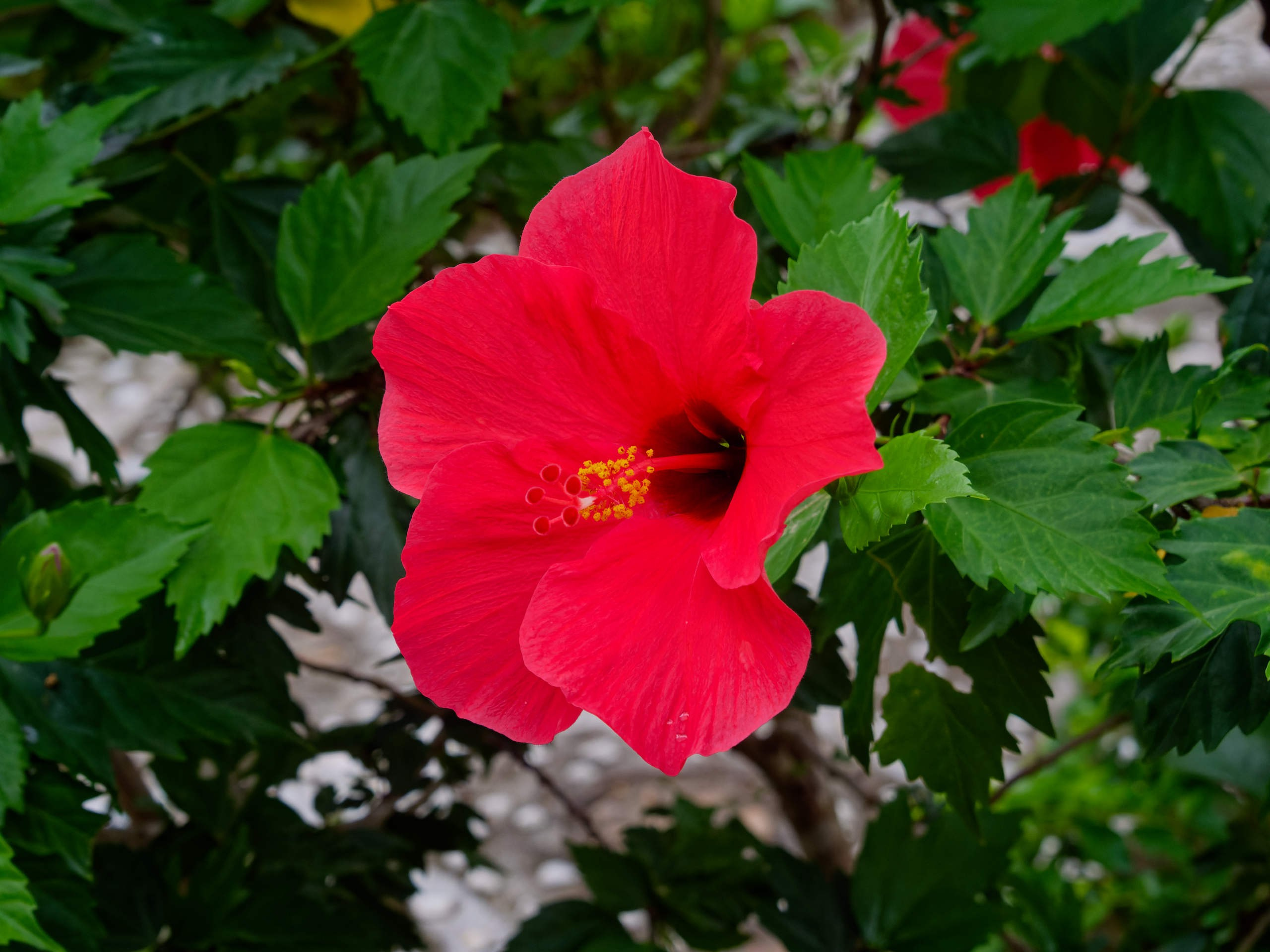 Нячанг 2025 (4). Избранные фотографии