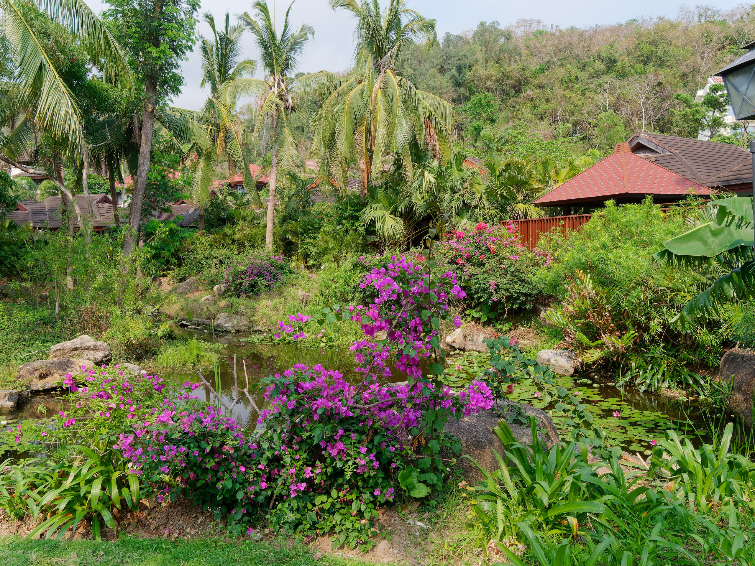 Хайнань 2026, отель «Stony Brook Villa Jianguo Resort Sanya 4*». Фотопрогулки по Миру