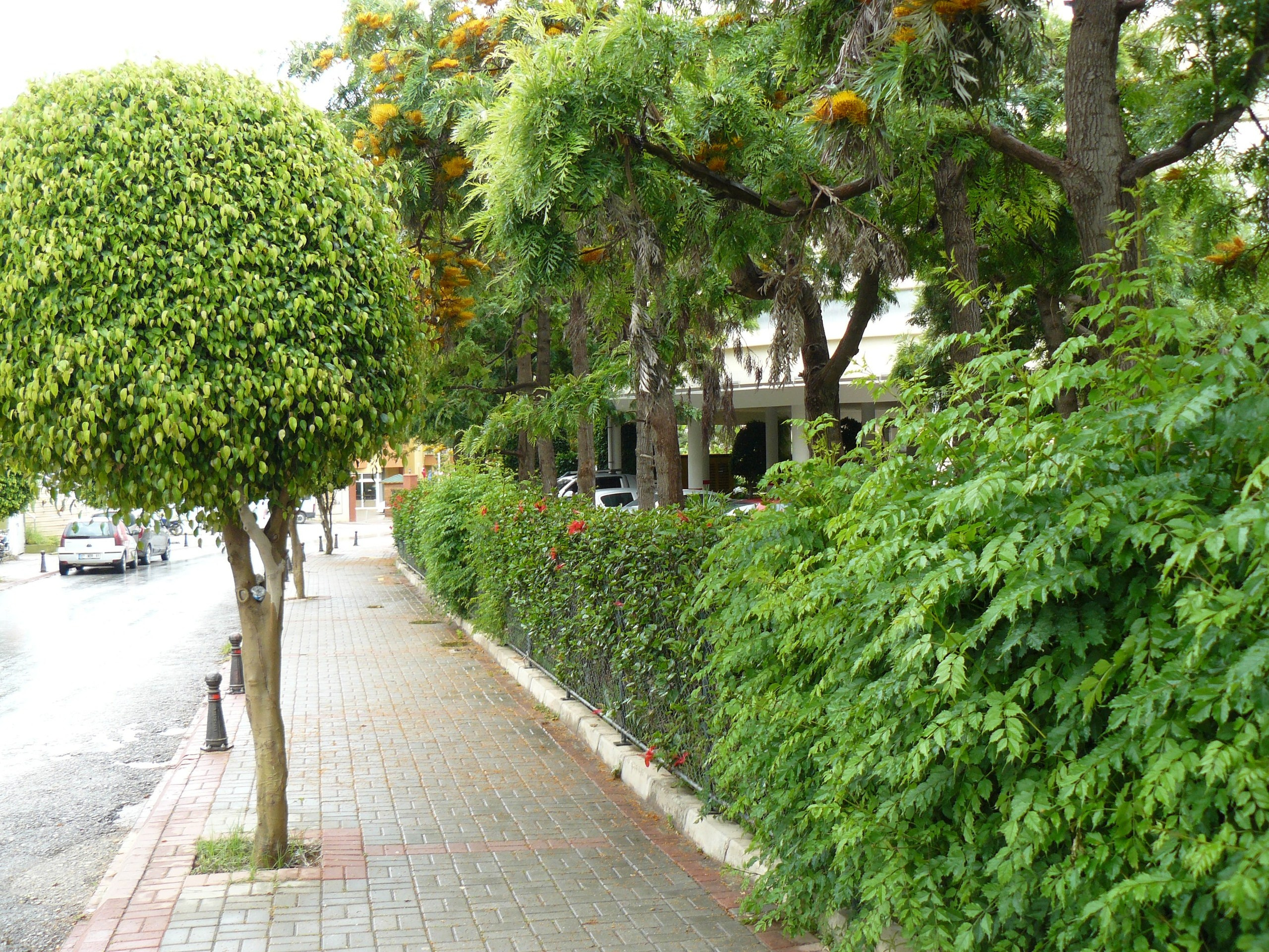 Авсалар 2014 встреча. Фотопрогулки по Миру