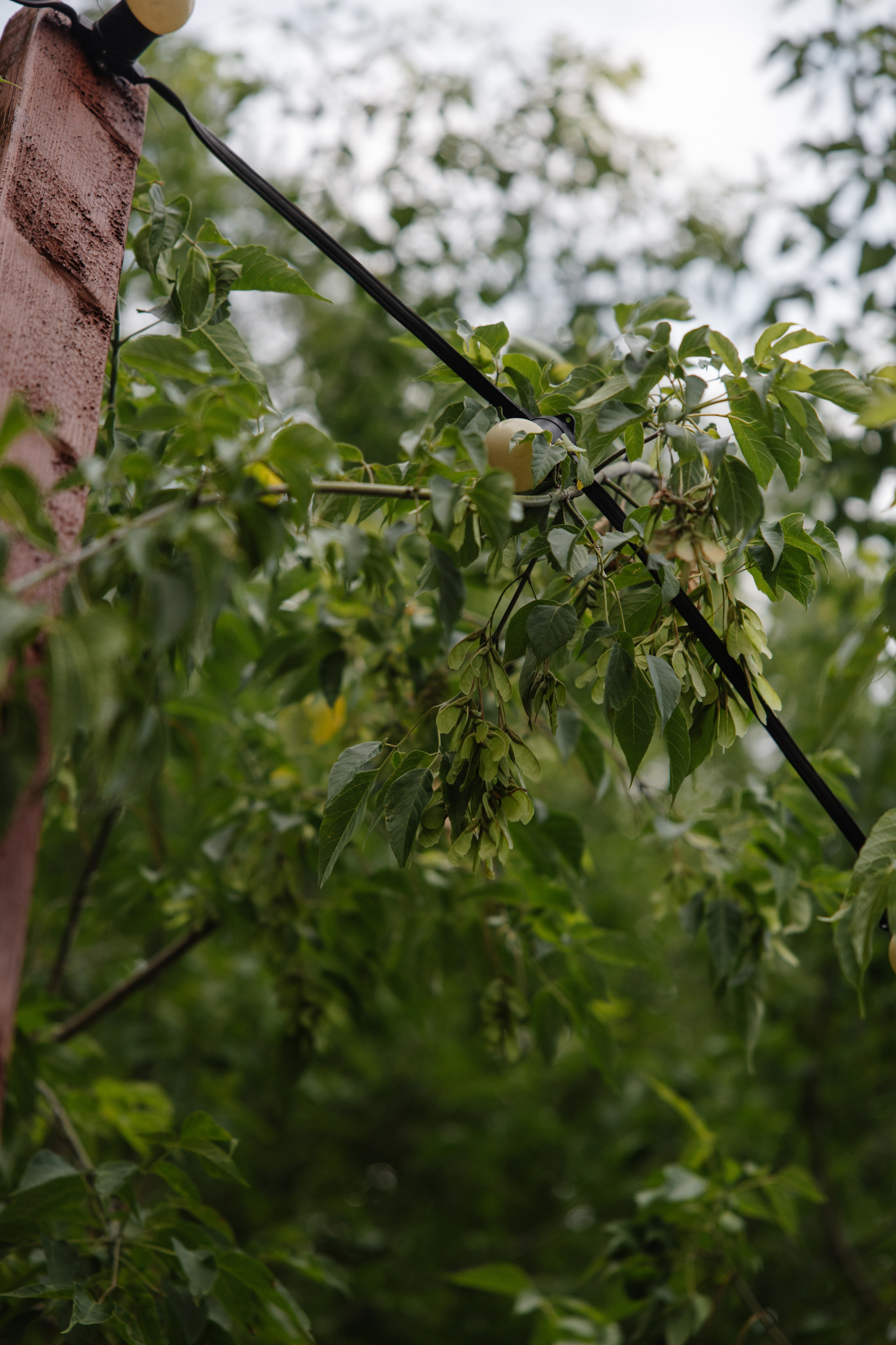 ГРЕНАДА. Фотограф в Красноярске