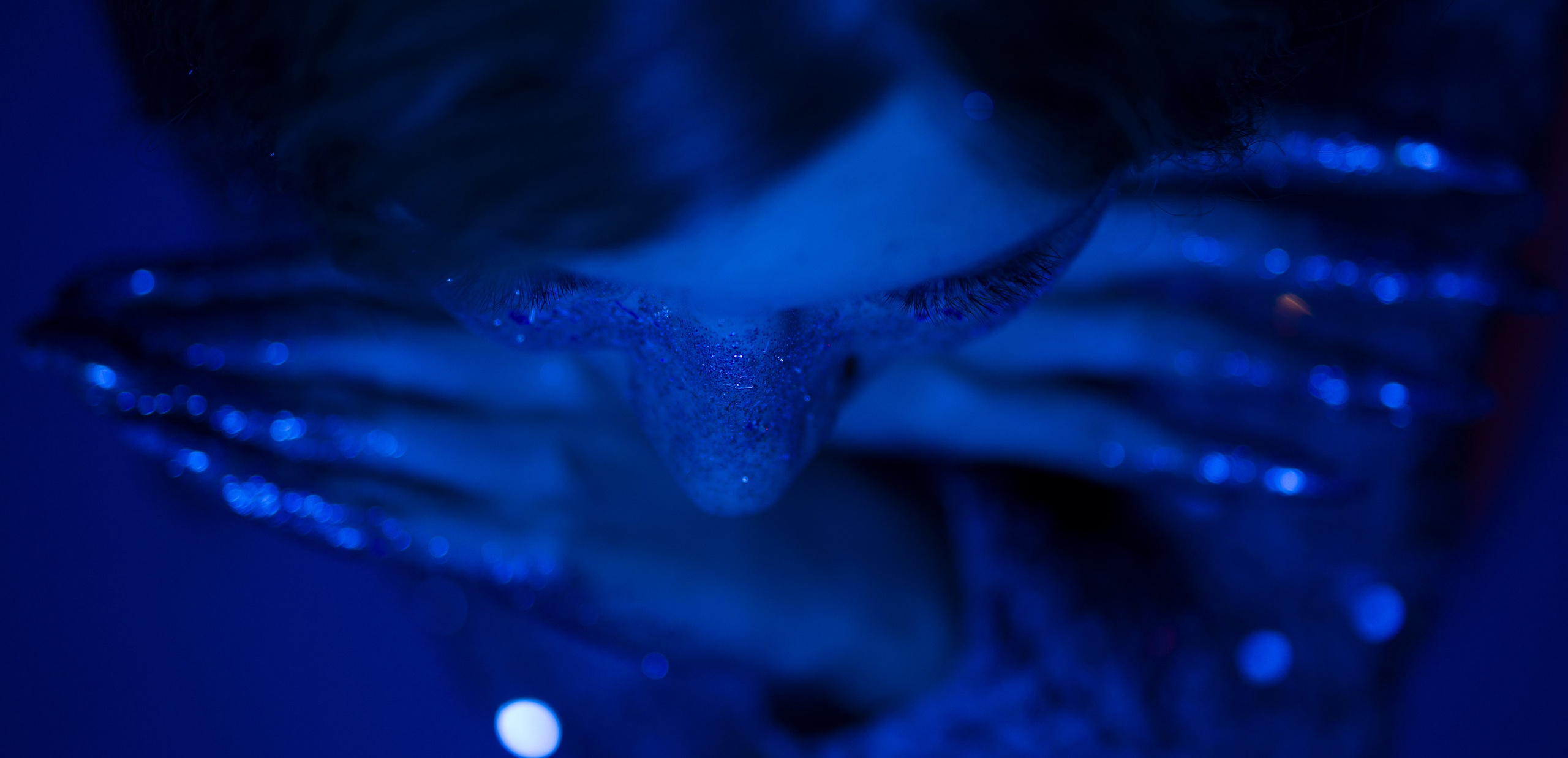 Блестки, блестки…. Фотограф Юлия Левандовская, п.Ясногорск