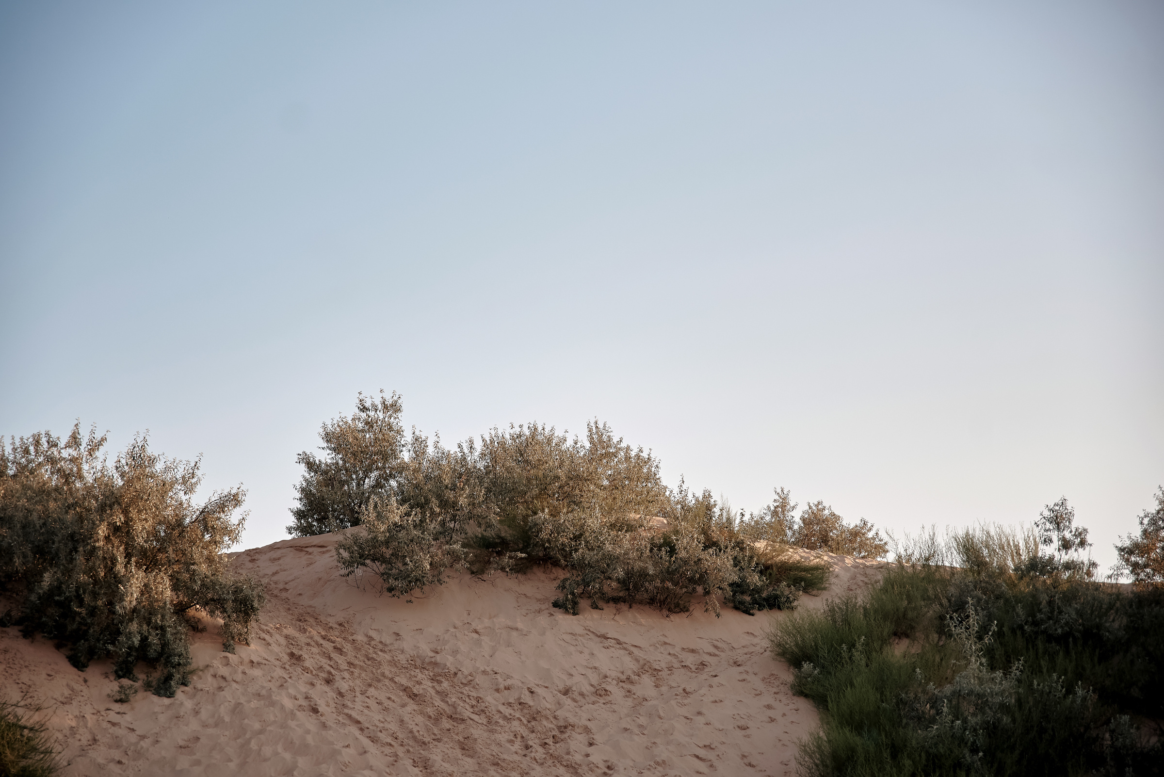 Светлана, Александр и Арсений. Свадебный и Event фотограф в Москве | Андрей Губренко | Gubrenko