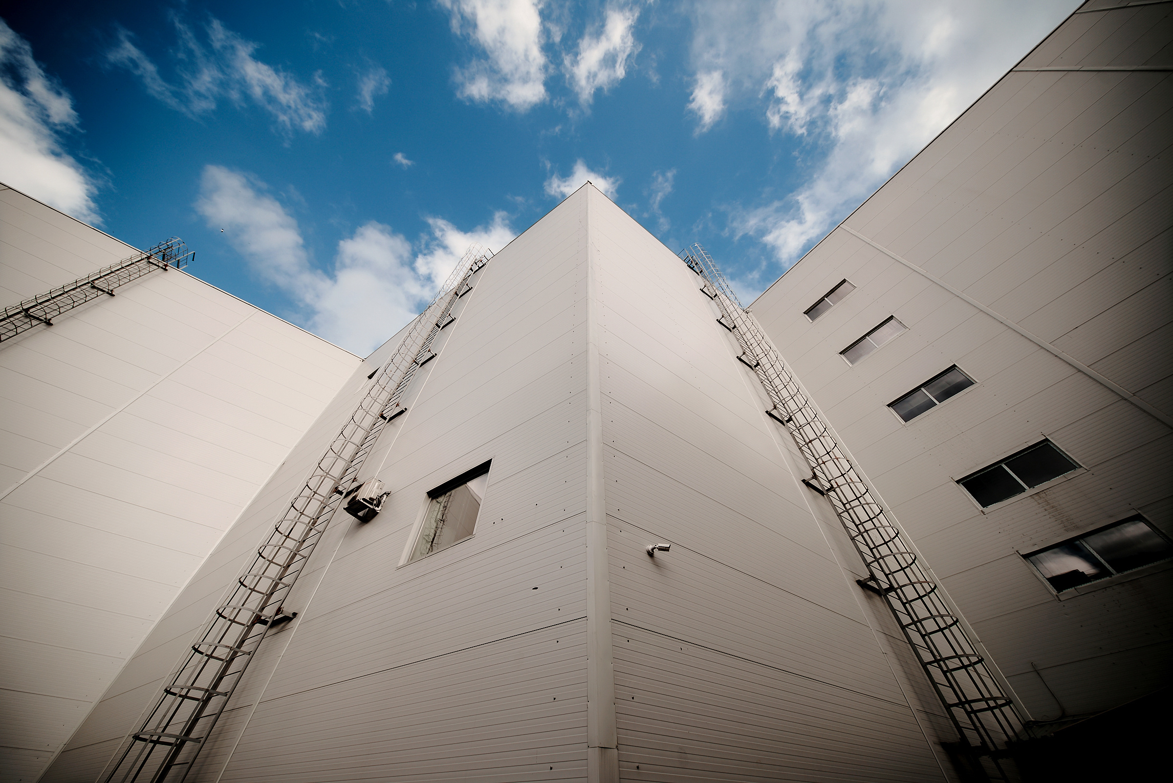 Денис и Алиша. Свадебный и Event фотограф в Москве | Андрей Губренко | Gubrenko